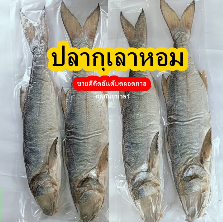 ปลากุเลาหอม