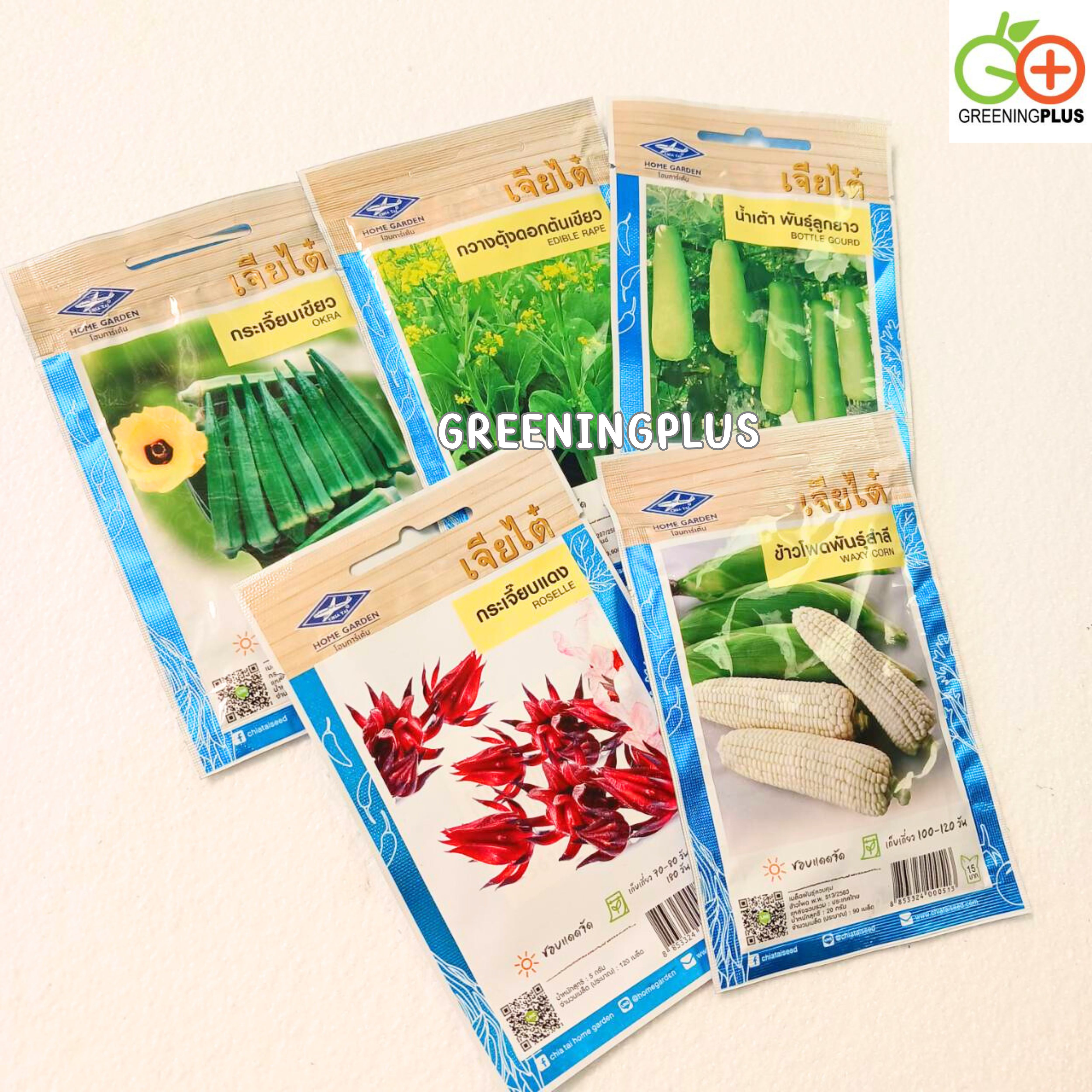 กระเจี๊ยบเขียว Okra เจียไต๋