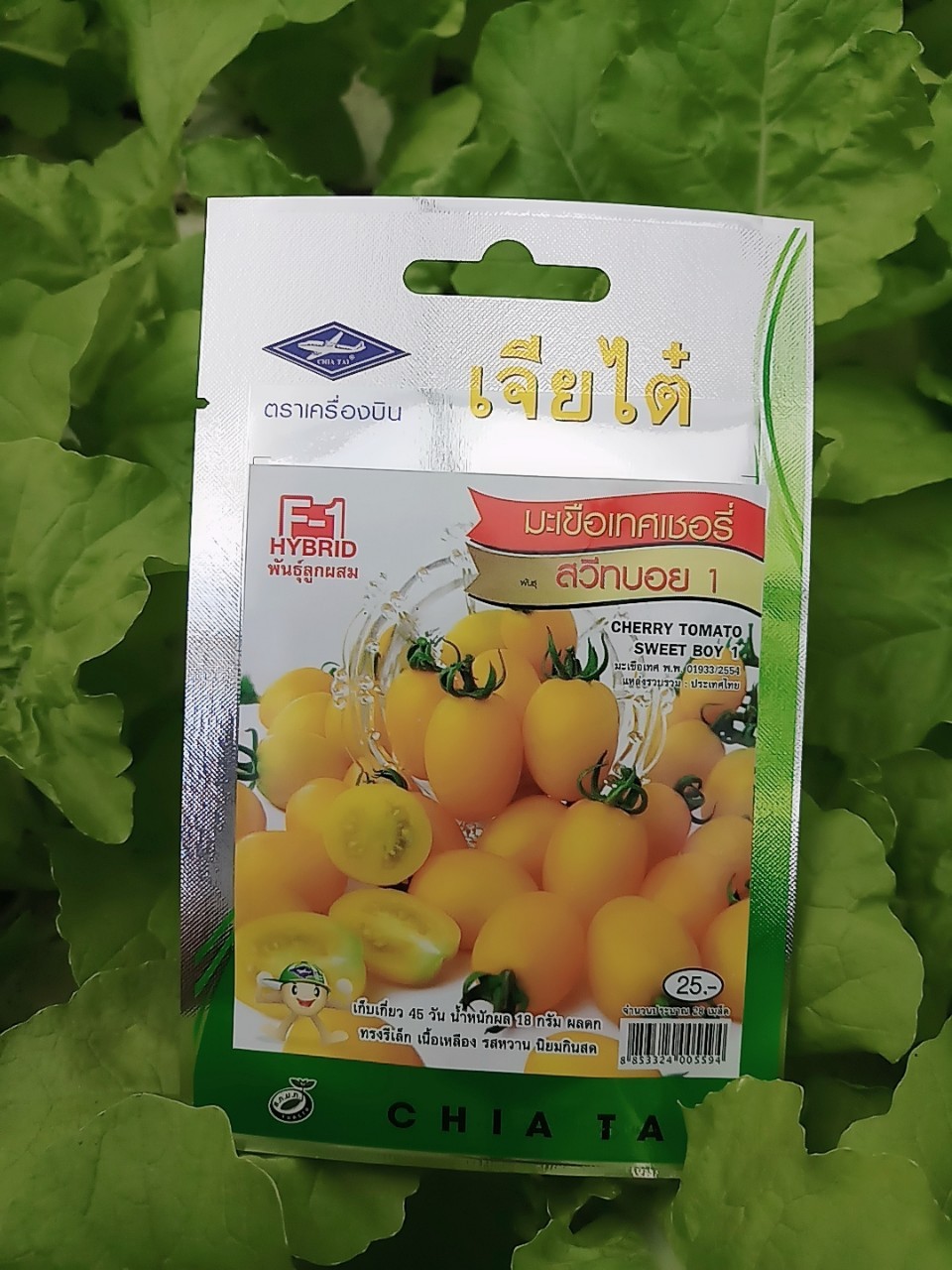 มะเขือเทศเชอรี่ สวีทบอย Cherry tomato sweet boy