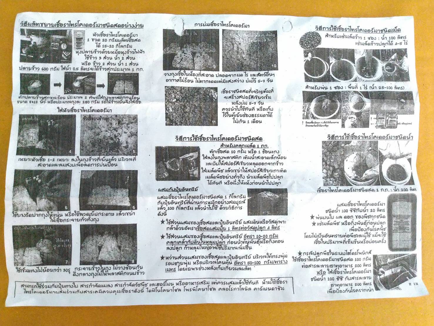 หัวเชื้อราไตรโคเดอร์ม่า ขนาด 20 กรัม