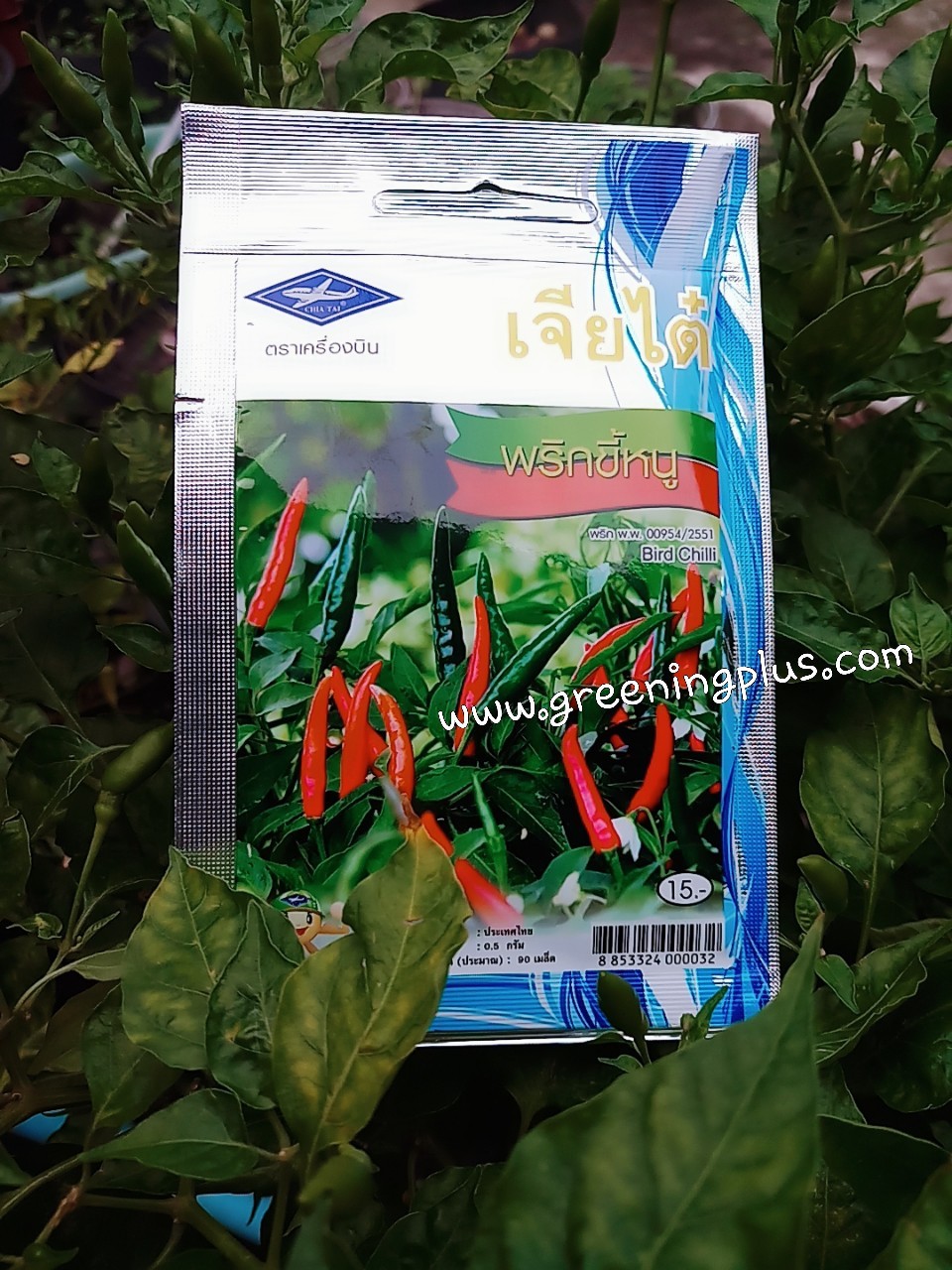 พริกขี้หนู BIRD CHILLI เจียใต๋