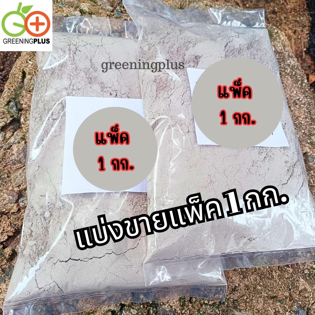 ปูนเปลือกหอย ของแท้จากสุราษฎร์ธานี แบ่งขาย 1 กิโลกรัม / แพ็ค