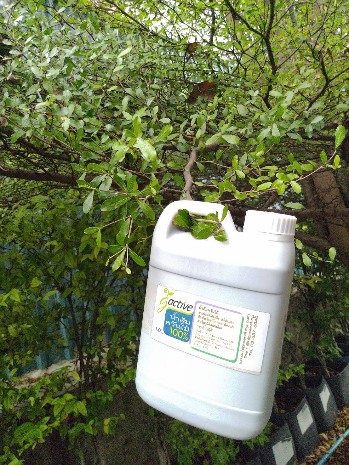 น้ำหมักจุลินทรีย์น้ำส้มควันไม้ ขนาด 1000 มล.