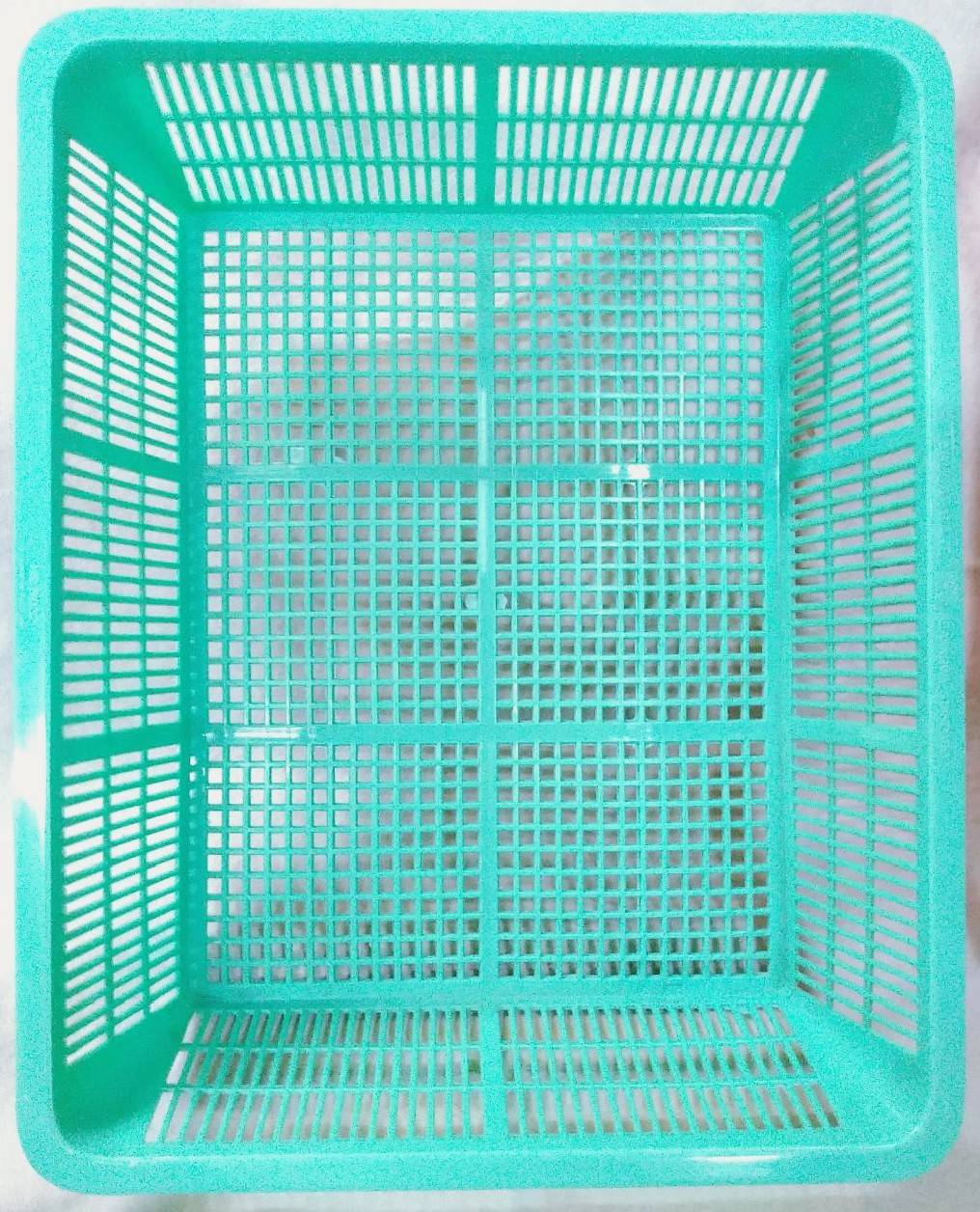 ตะแกรงฟรุตตี้ เบอร์ 1