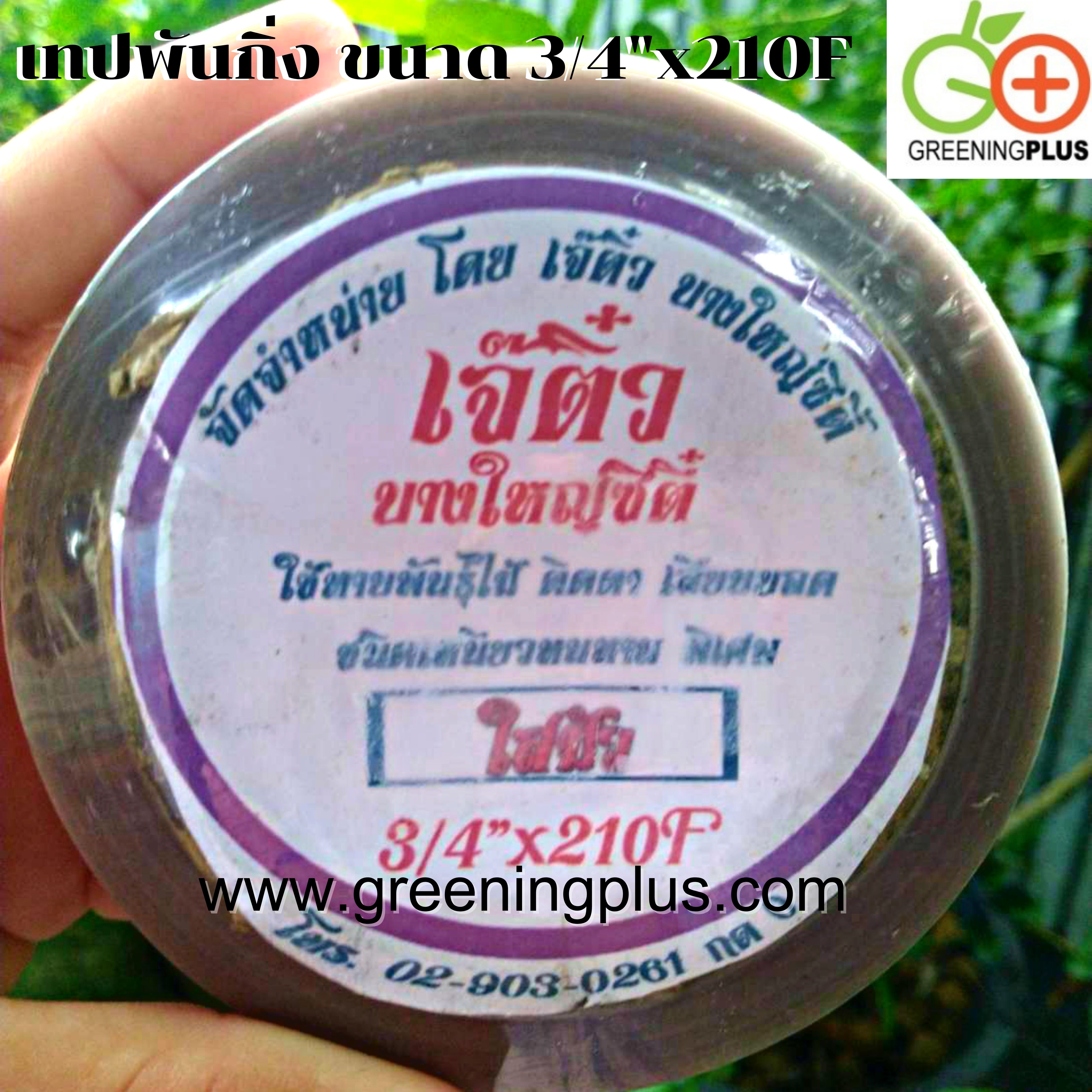 เทปพันกิ่ง ขนาด 3/4"x210F