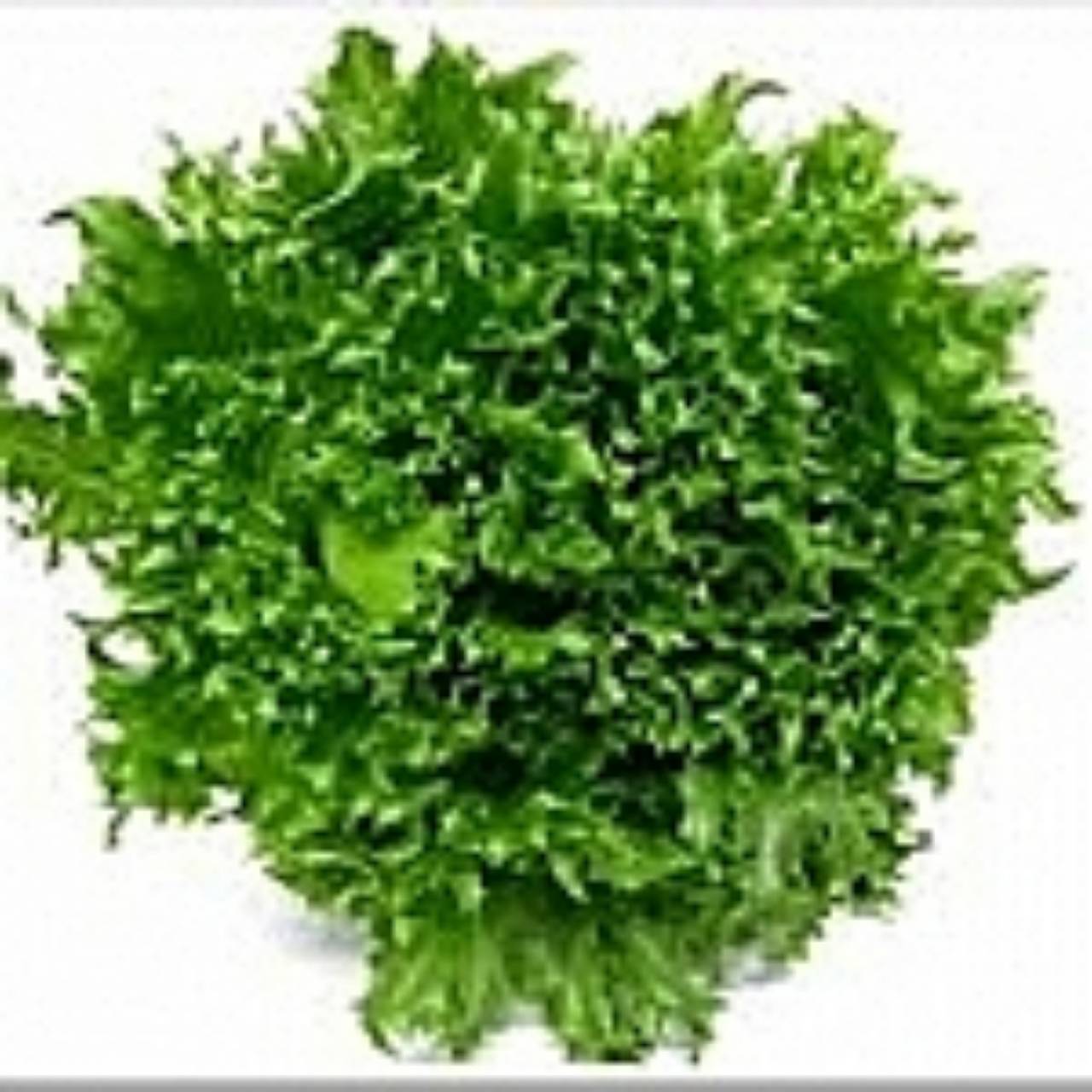 fillice iceberg 1000 pills (ไม่เคลือบ)