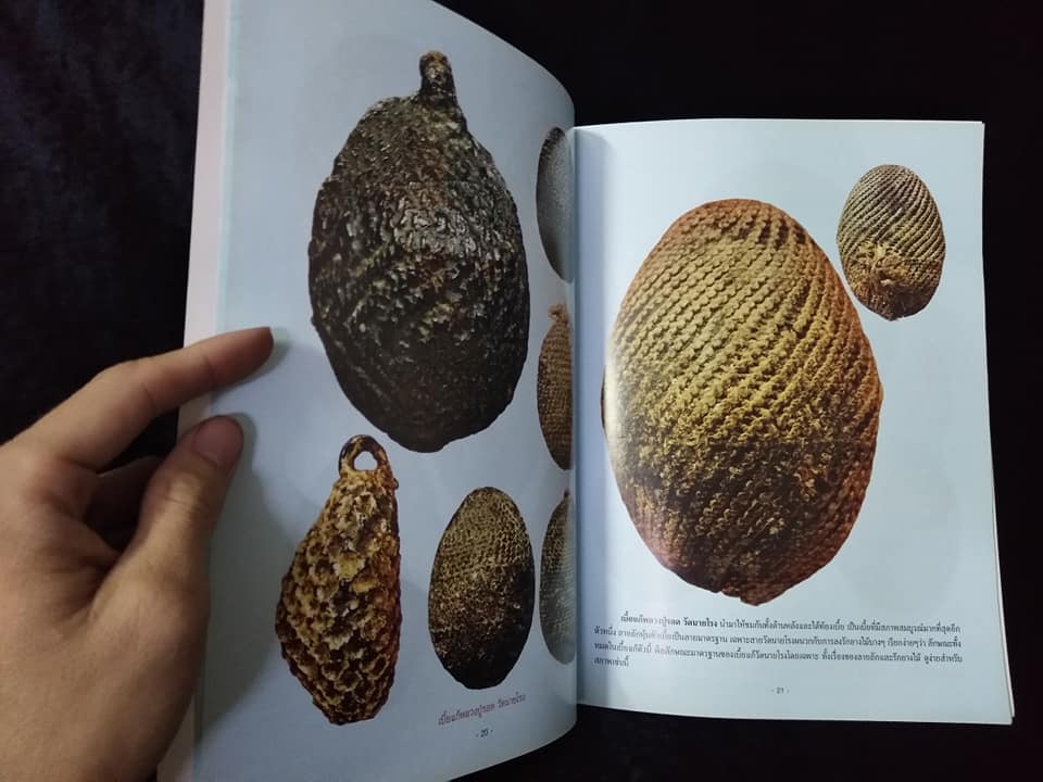 เบี้ยแก้ หมากทุย