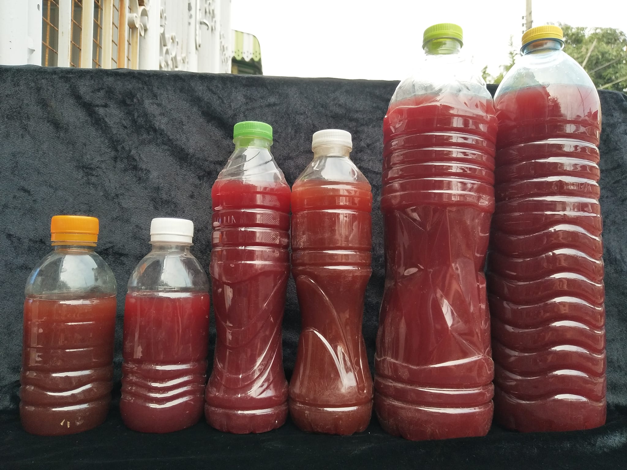 จุลินทรีย์สังเคราะห์แสง สีแดงๆ