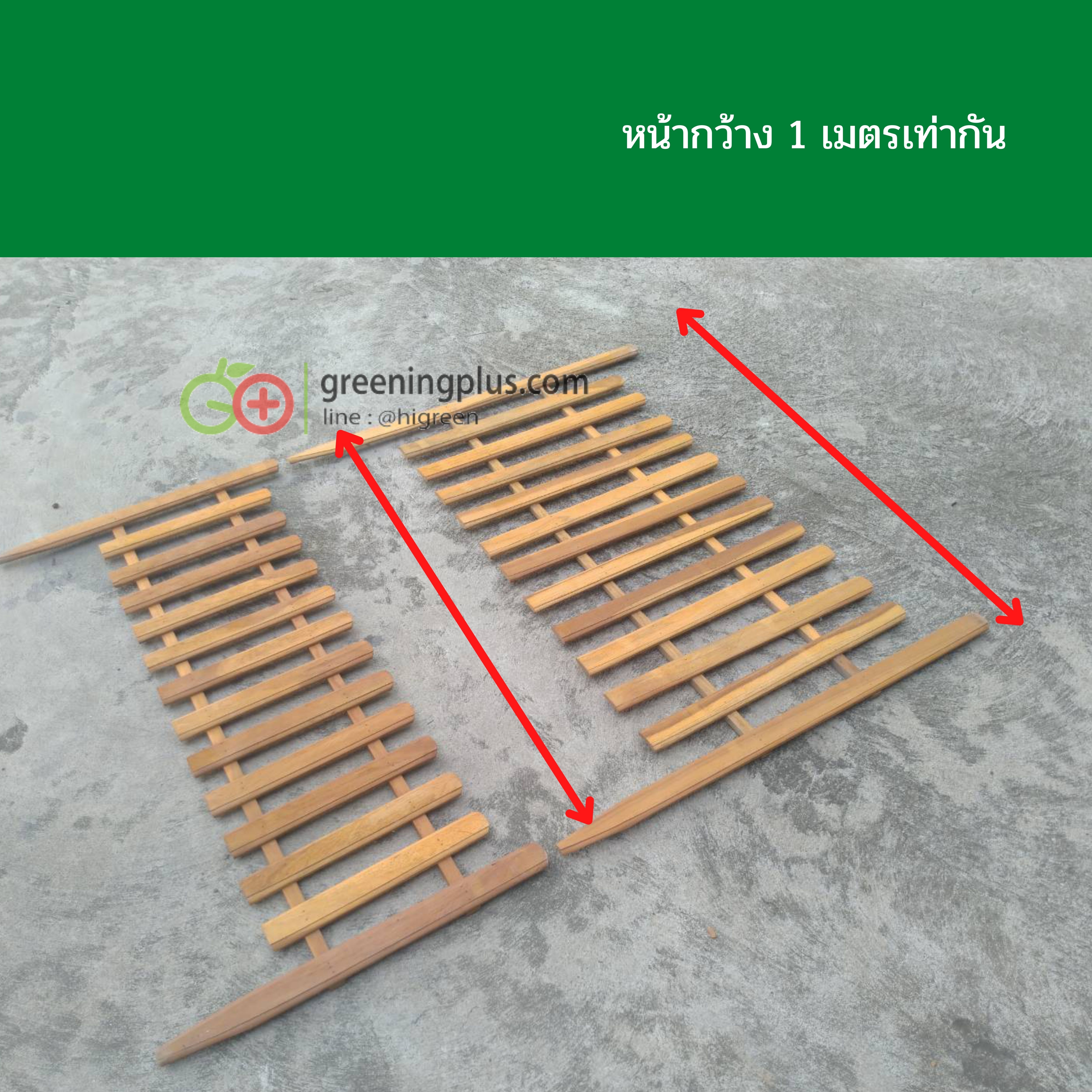 ไม้รั้ว ไม้ตกแต่งสวน