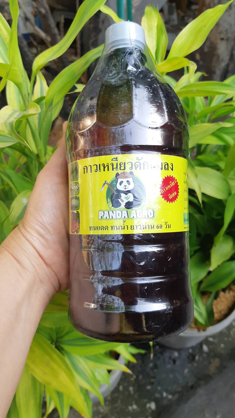 กาวเหนียวดักแมลงแพนด้า อโกร PANDA AGRO 1 ลิตร
