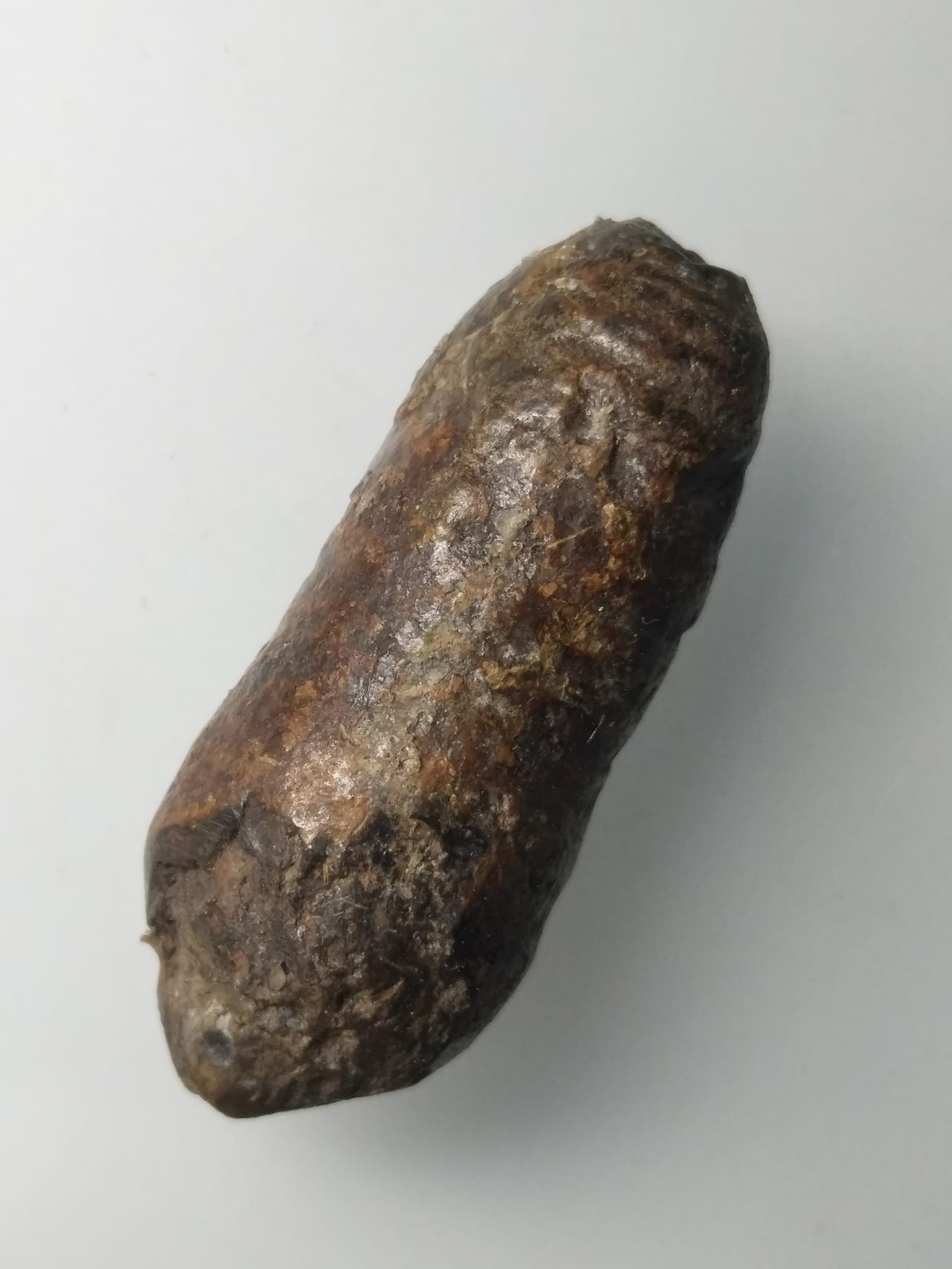 H305 คตดักแด้ ดักแด้หินทนสิทธ์