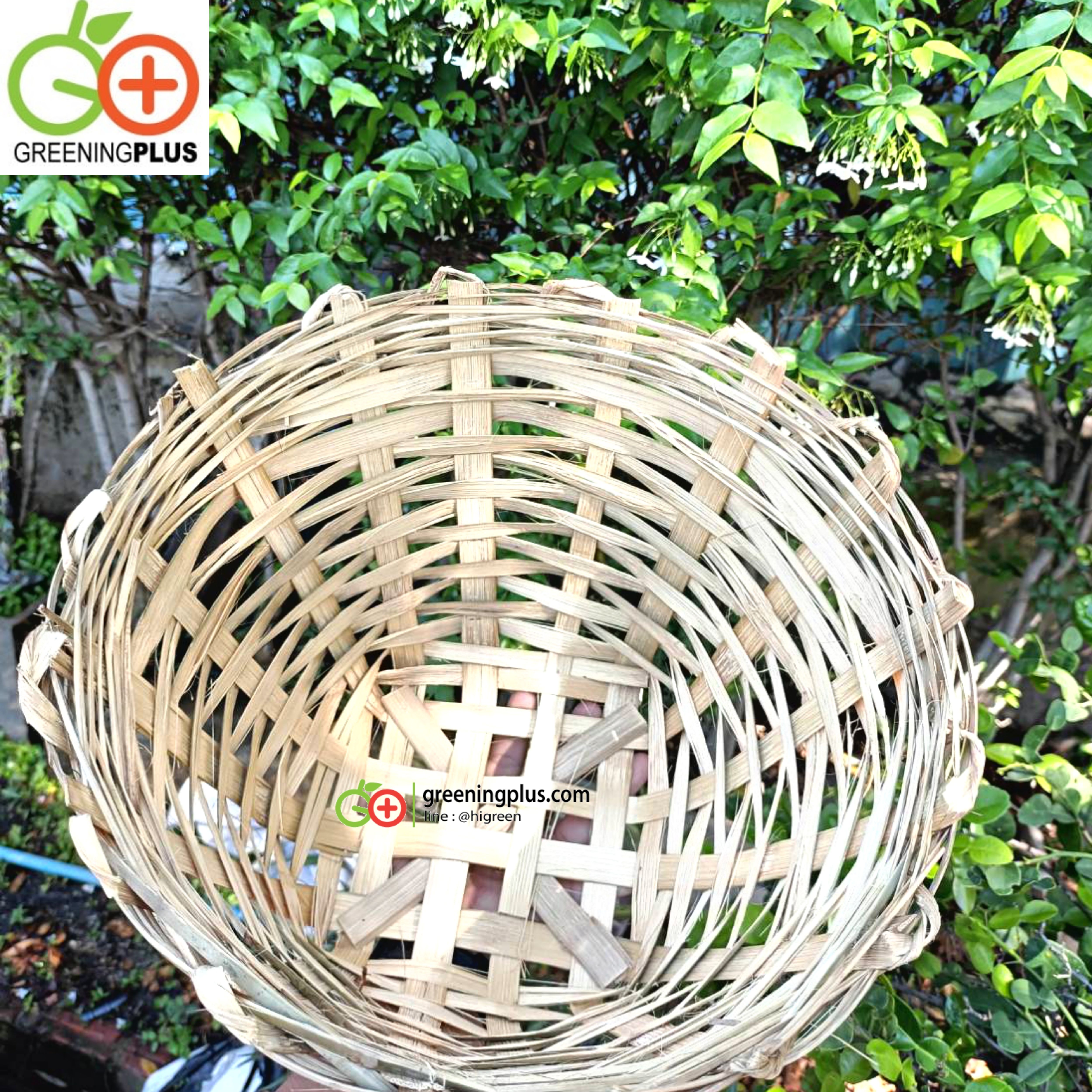 เข่งไม้ไผ่ (จำนวน 1 ใบ)