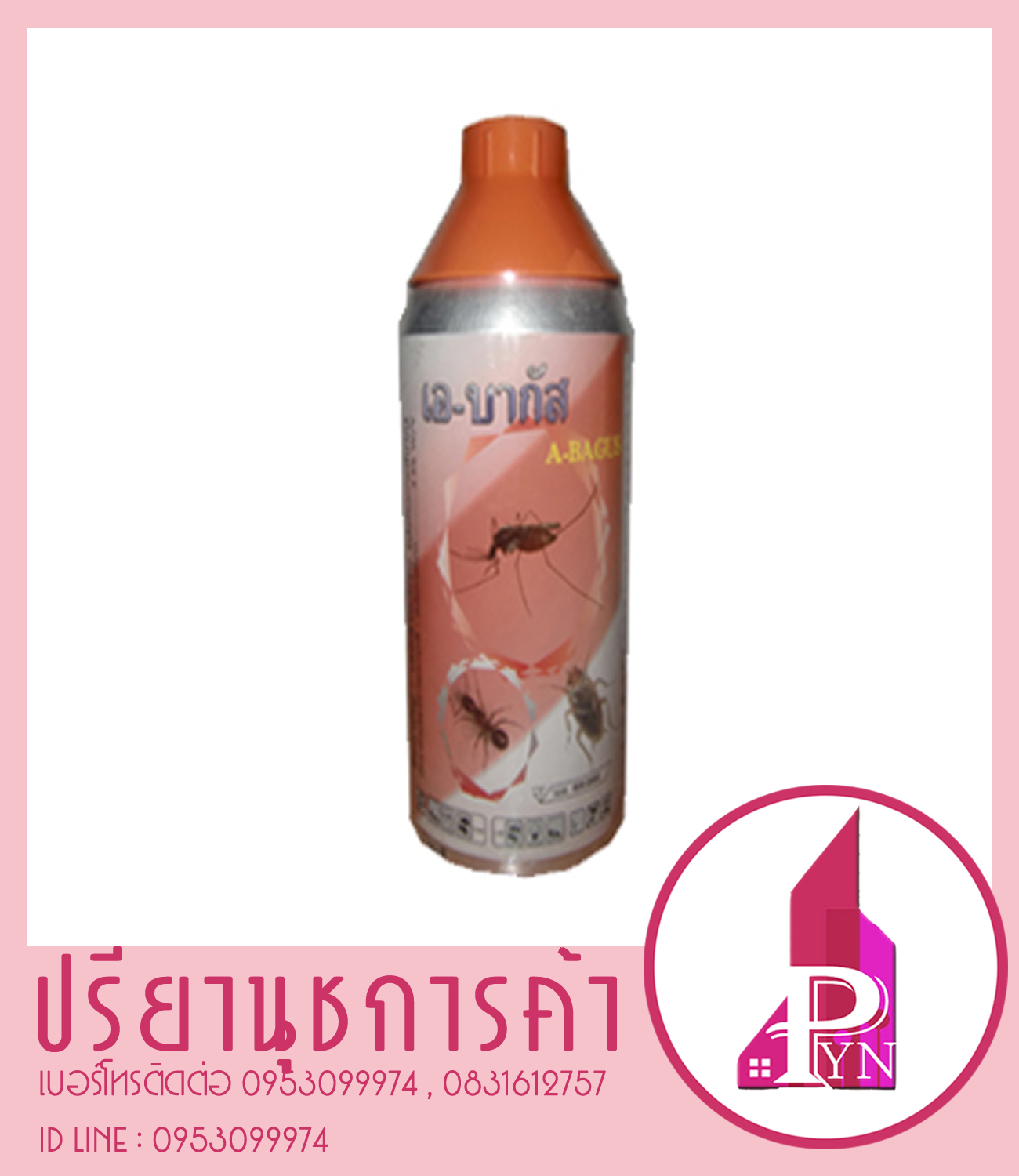 เอบา กัส