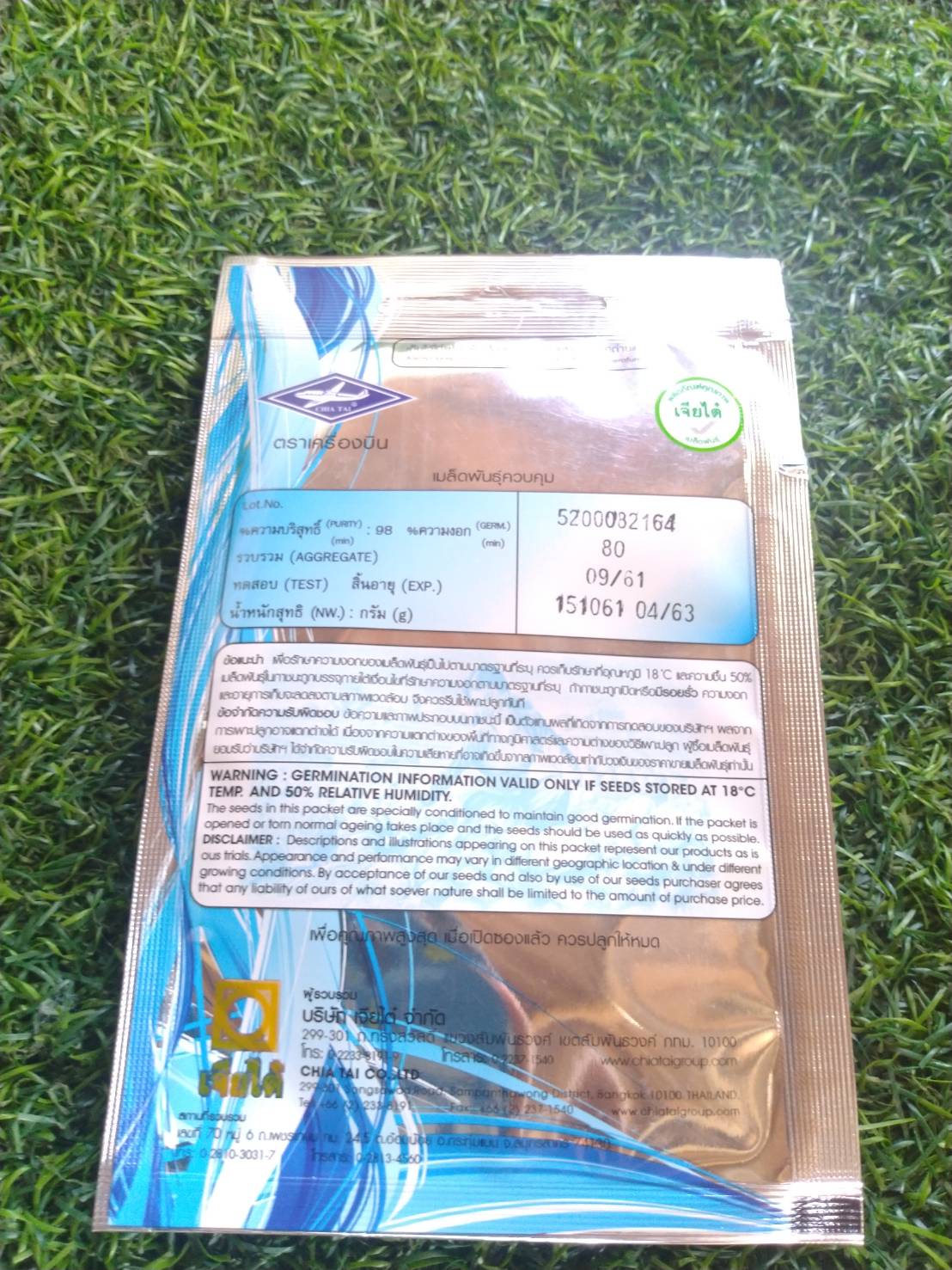 มะเขือเปราะจาว Round eggplant เจียใต๋