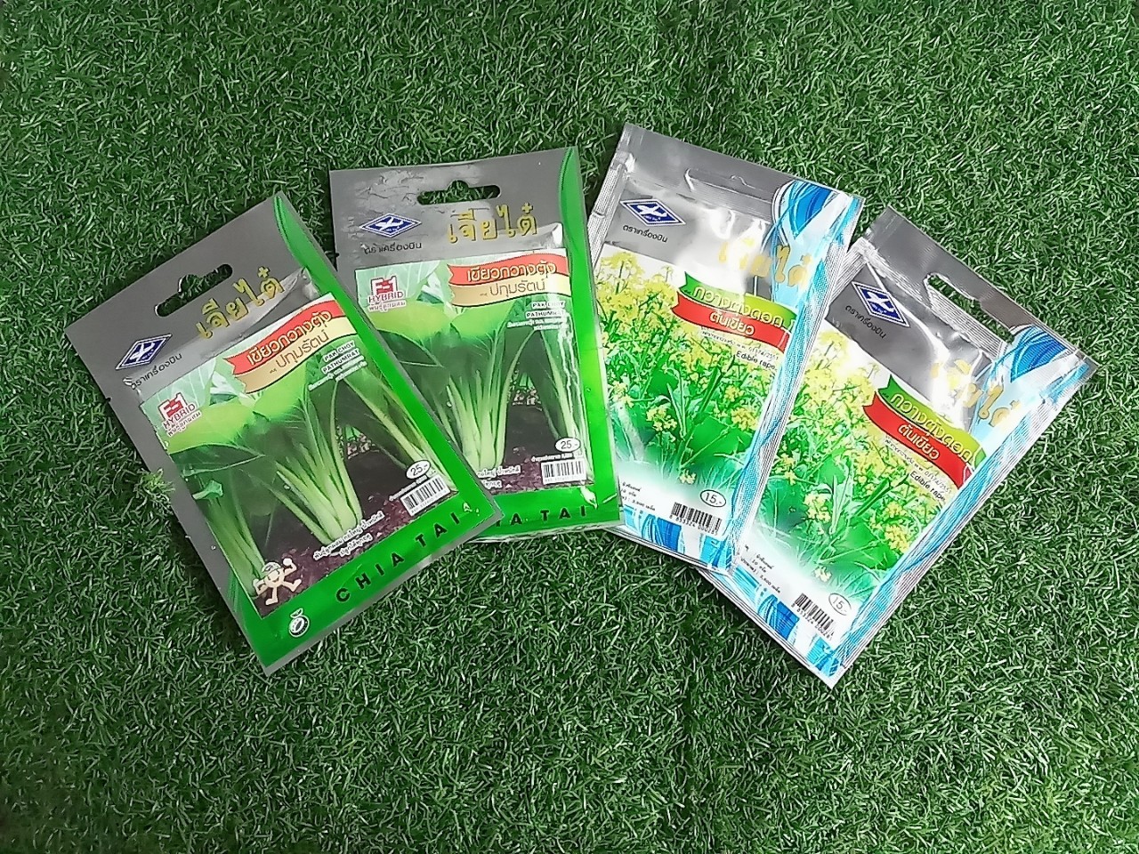 เขียวกวางตุ้งปทุมรัตน์ (pak choy pathumrat) เจียใต๋