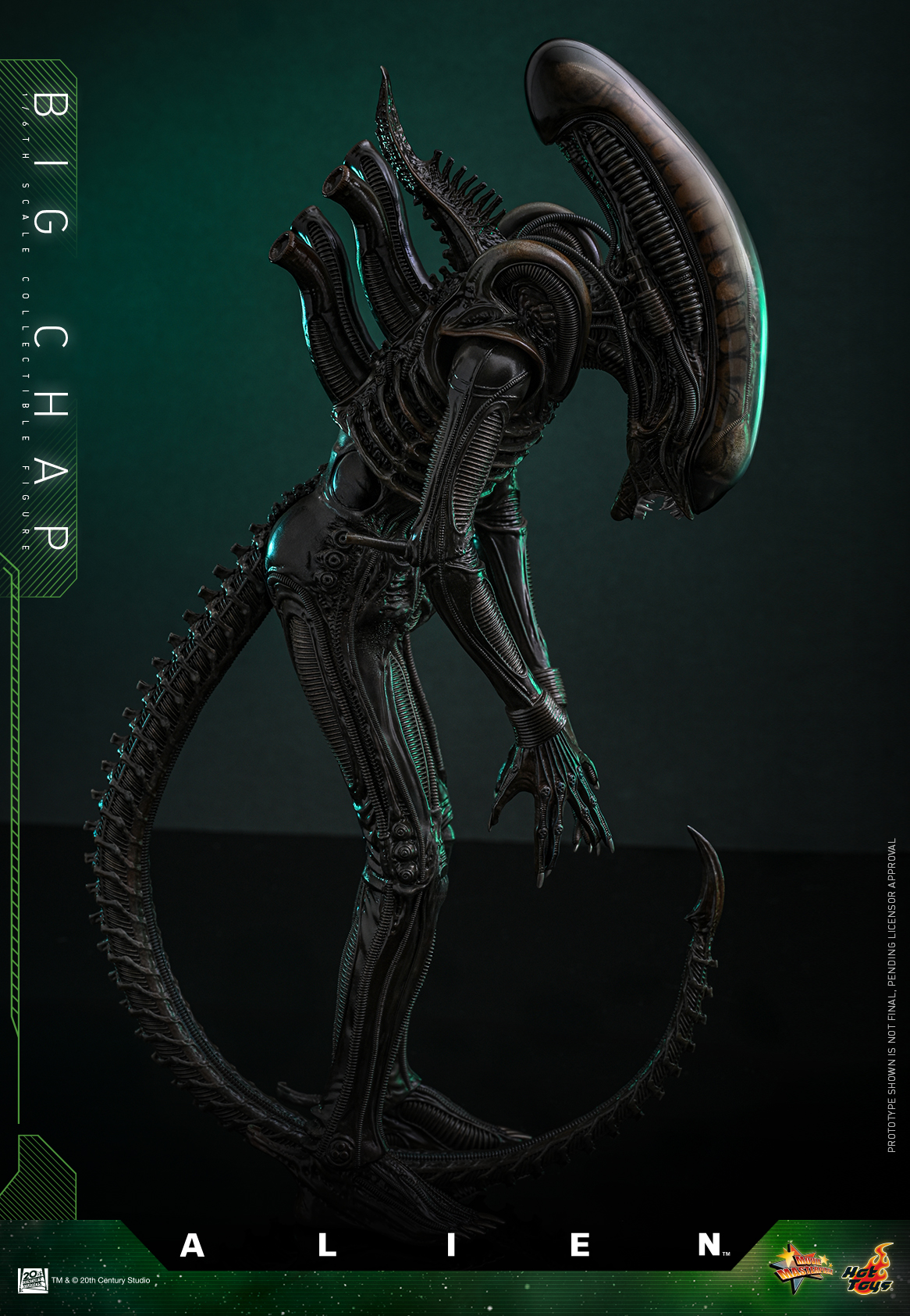 25/08/2568 Hot Toys MMS826 Alien - Big Chap