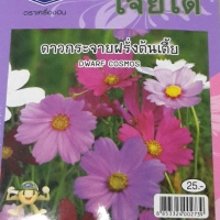 ดาวกระจายฝรั่งเศษต้นเตี้ย DWARF COSMOS เจียใต๋