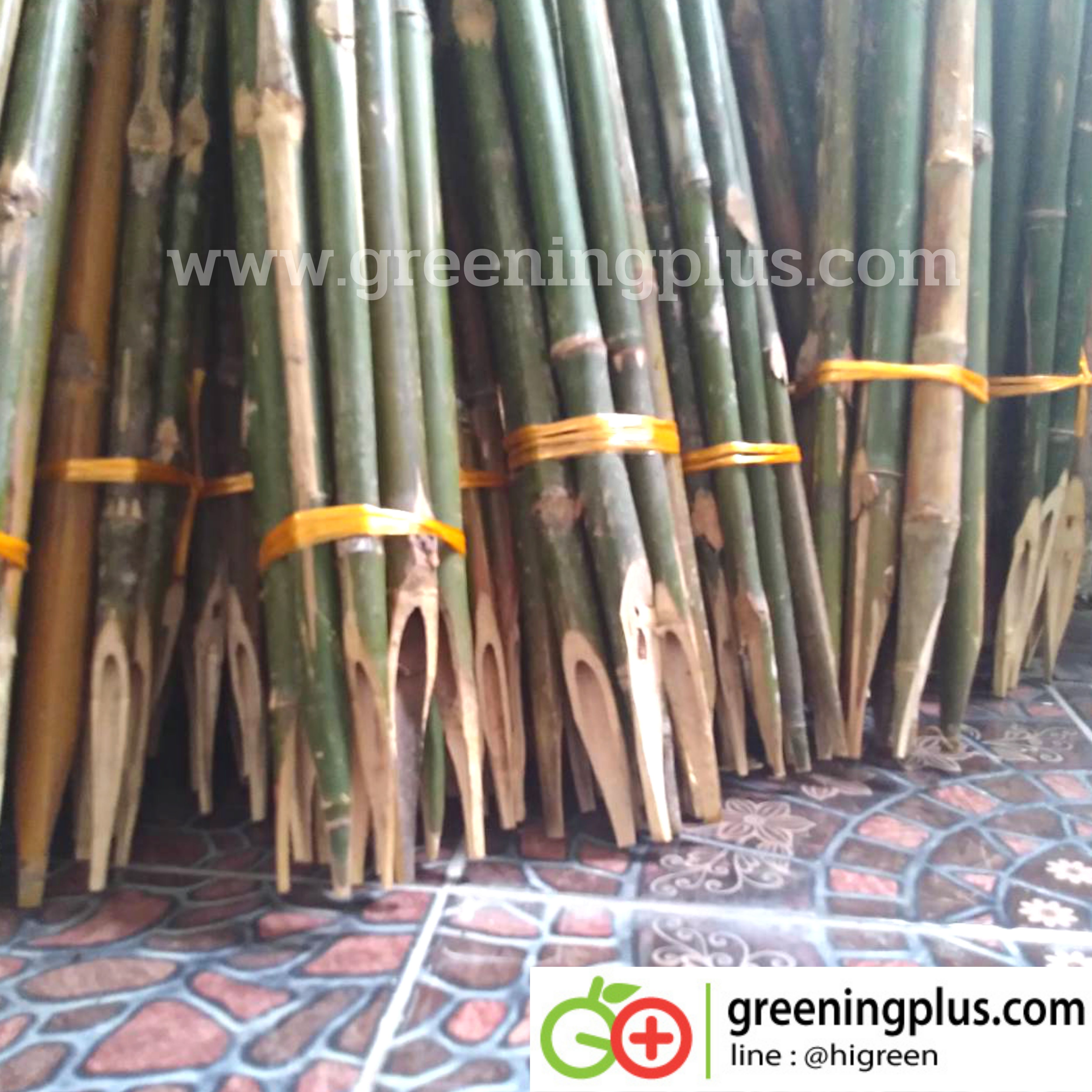 ไม้ปักค้ำต้นไม้ ไม้กลมแข็งแรง แหลมปลายสะดวกต่อการใช้งาน ขนาด 65-70 เซนติเมตร x 2 มัด