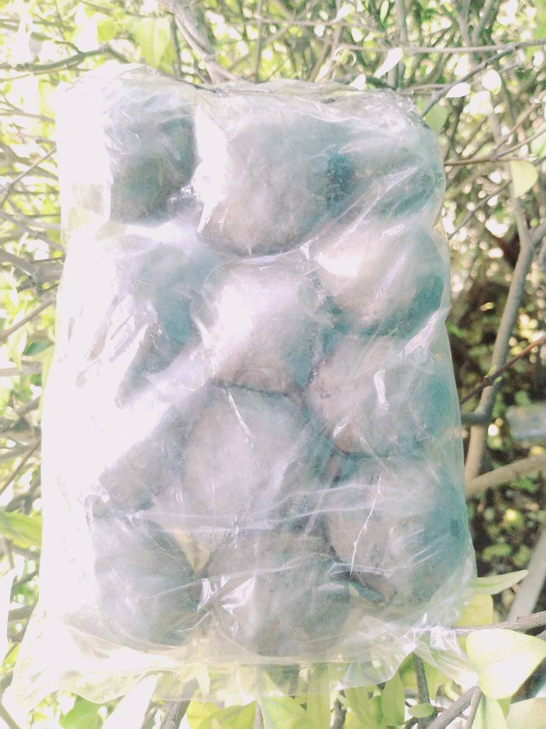 ปุ๋ยบัวดินปั้น