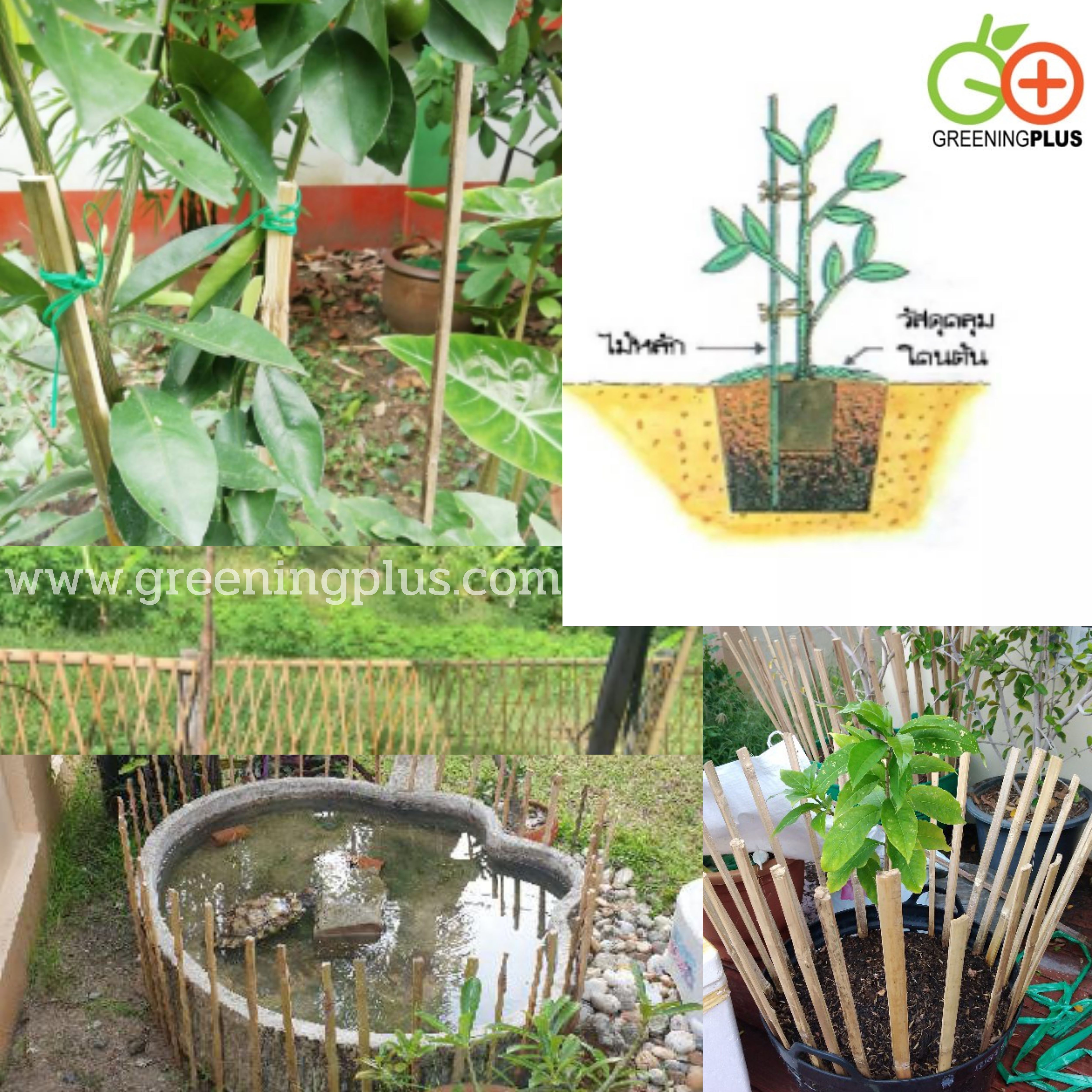 ไม้ปักค้ำต้นไม้ ไม้ไผ่ ไม้ซีก แหลมปลายสะดวกต่อการใช้งาน ขนาด 50 เซนติเมตร / มัด