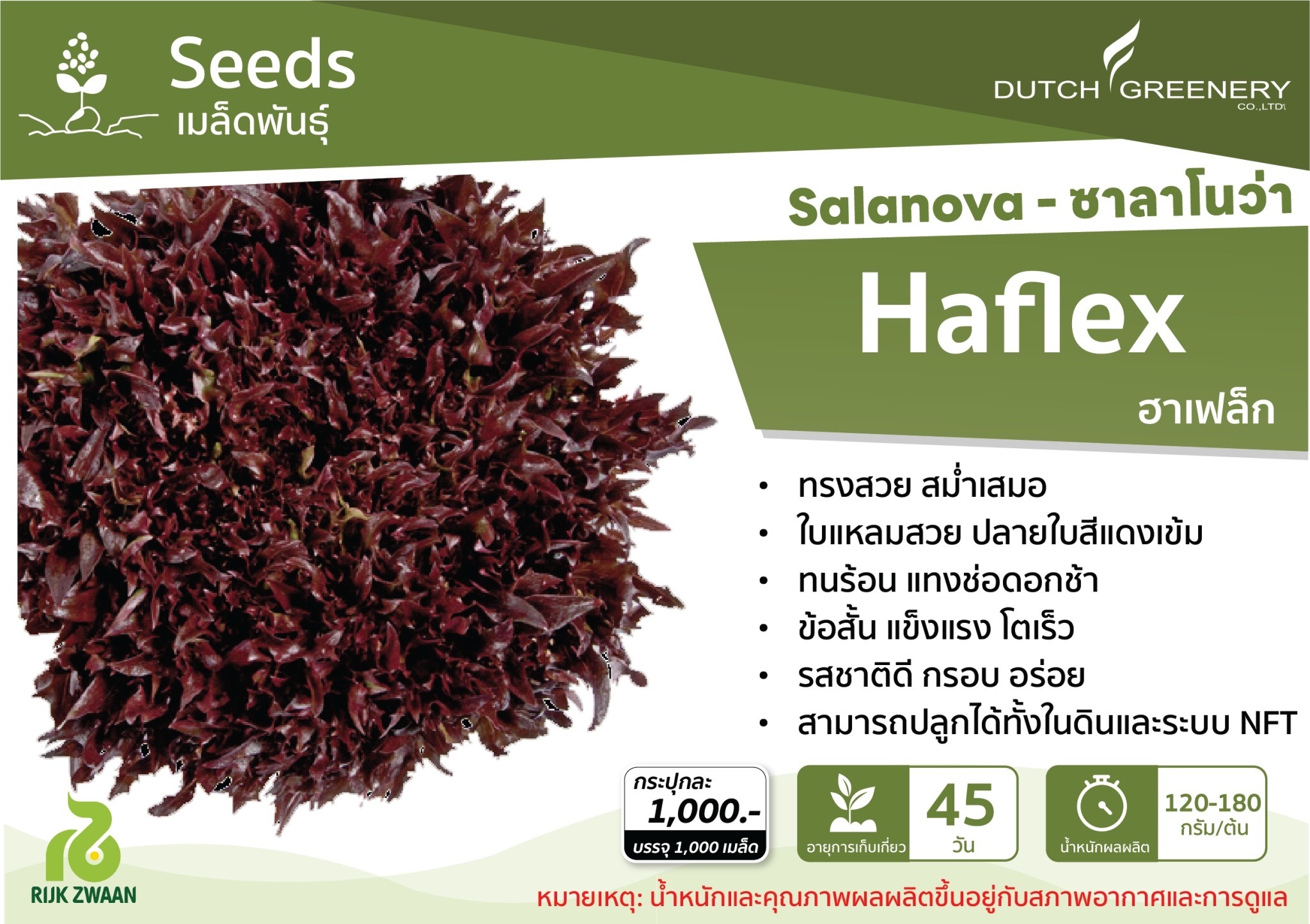 Red Incised (Salanova Haflex RZ) Dutch 100 pills(เคลือบ)