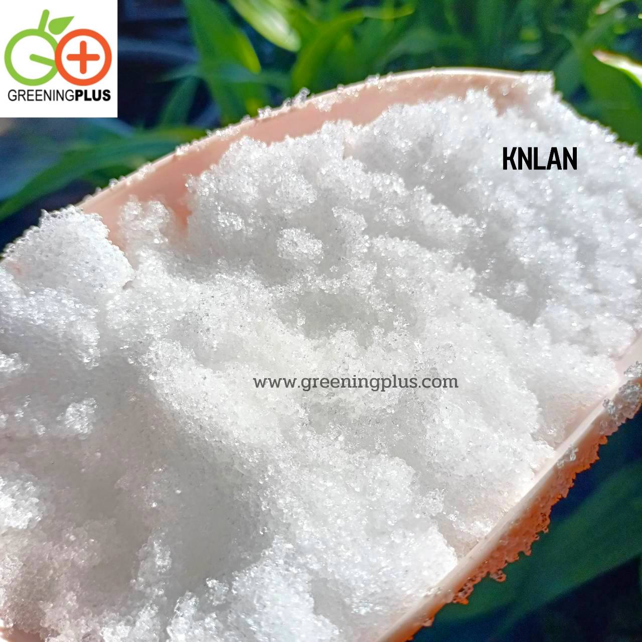 แคลเซียมไนเตรด (CaNO3) 1000 กรัม ยี่ห้อ KNLAN