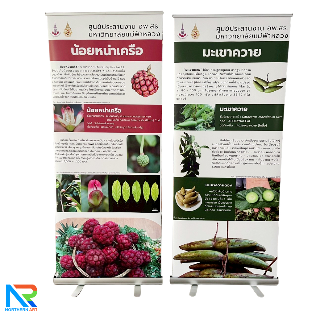 ROLL UP GRADE A โรลอัพ ขนาด 85x200 ซม.โครงสร้างอะลูมิเนียมอย่างดี แข็งแรง ทนทาน ม้วนเก็บได้ พกพาสะดวก