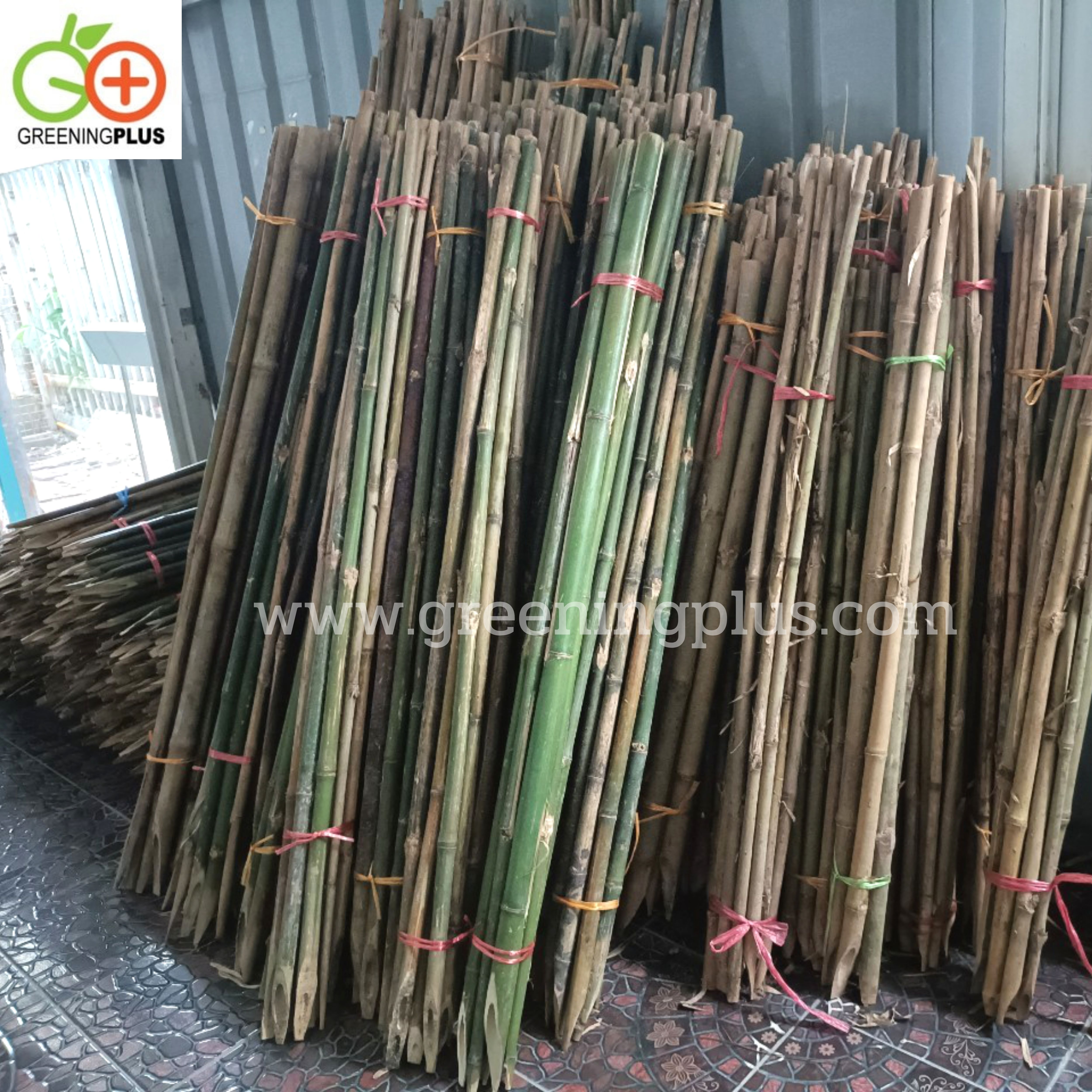 ไม้ปักค้ำต้นไม้ ไม้กลมแข็งแรง แหลมปลายสะดวกต่อการใช้งาน ขนาด 1.3-1.5 เมตร x 2 มัด