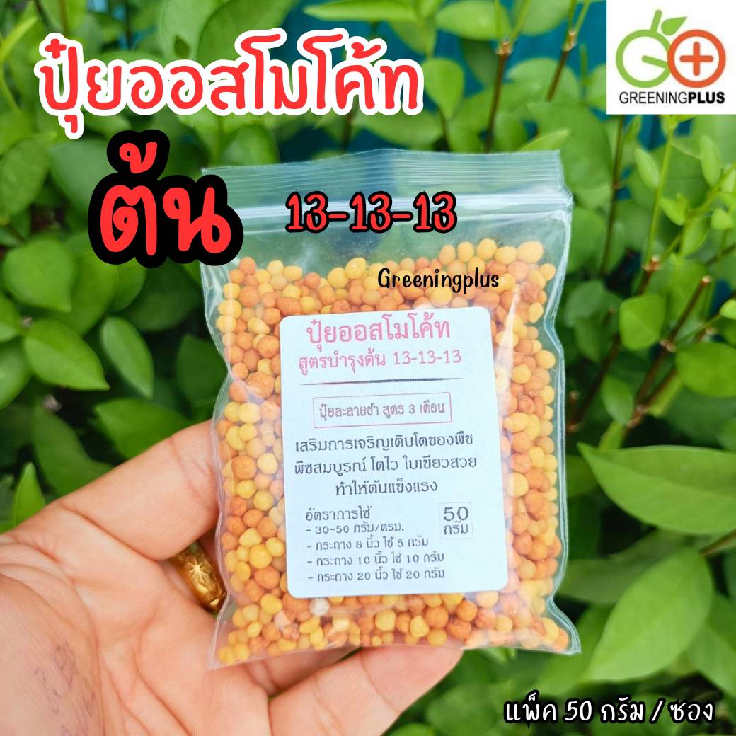 ปุ๋ยออสโมโค้ท (Osmocote) ขนาด 50 กรัม