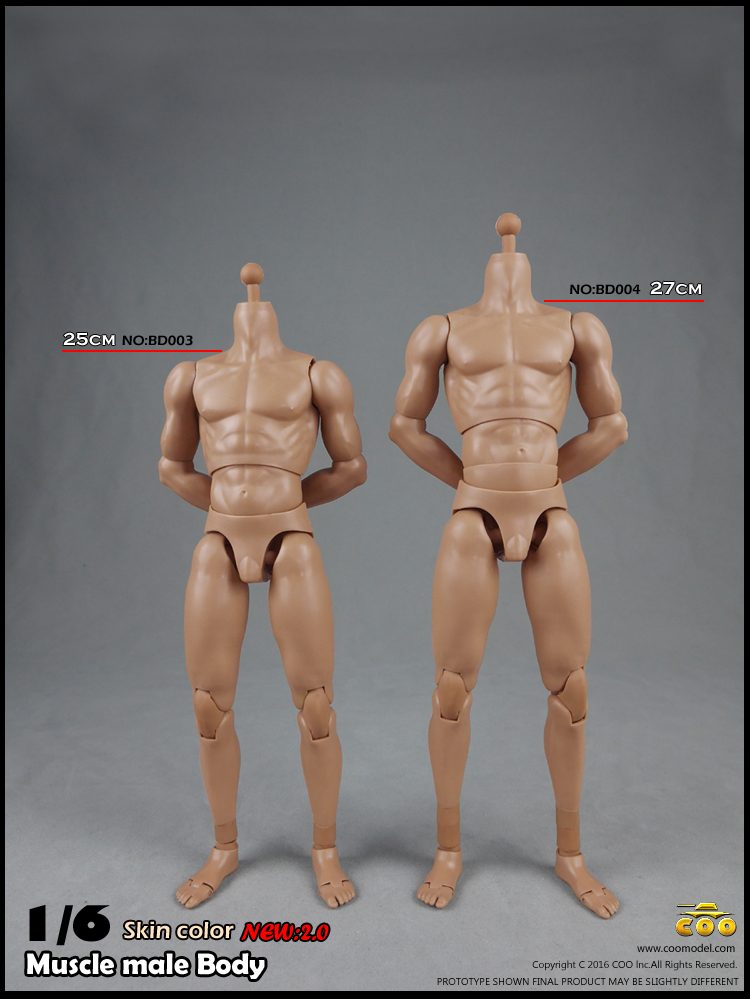 COOMODEL BD003, BD004 Muscle male Body 2.0