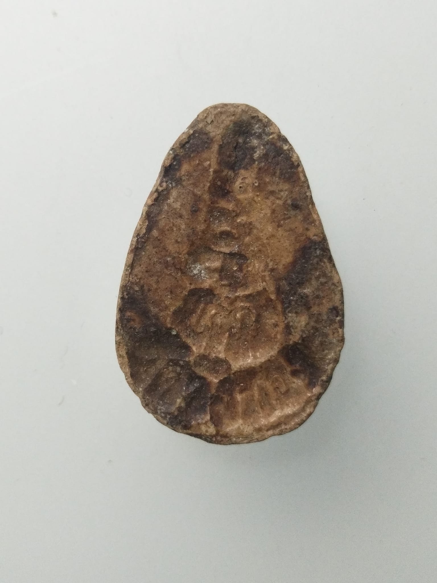 F254 แม่นางกวักเนื้อดิน