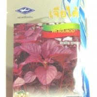 ผักโขมแดง Carden spurge เจียใต๋