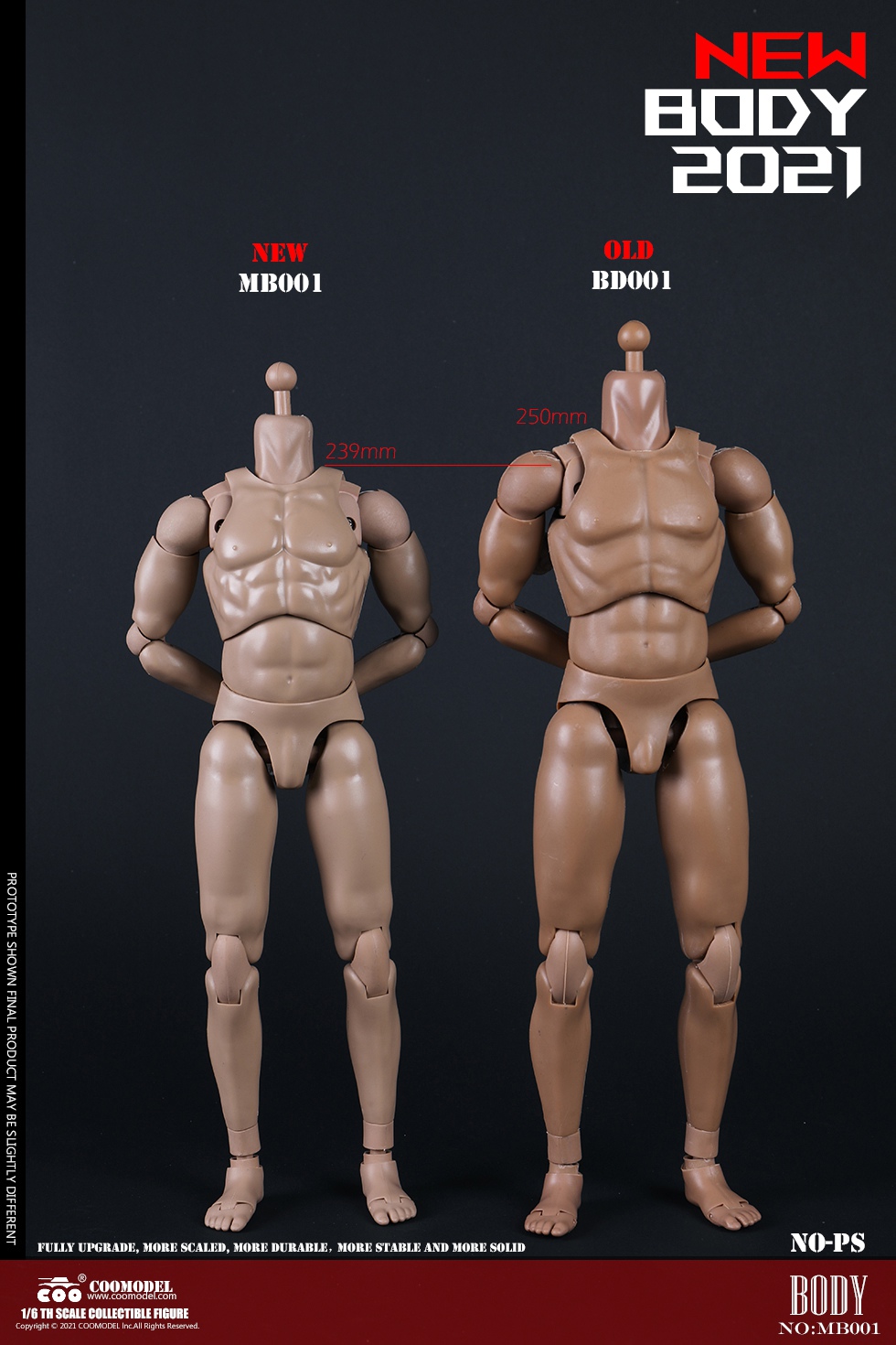 COOMODEL MB001-4 1/6 NEW TYPE MALE BODY