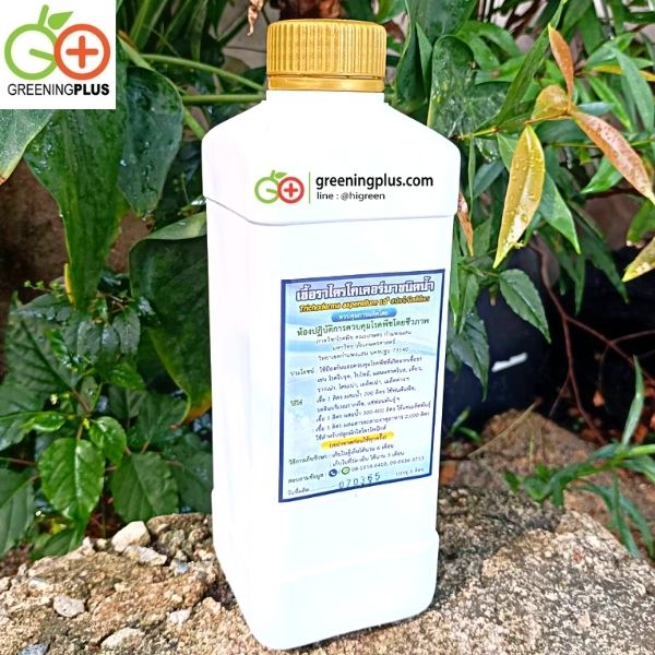 หัวเชื้อราไตรโคเดอร์ม่า แบบน้ำ 1 ลิตร