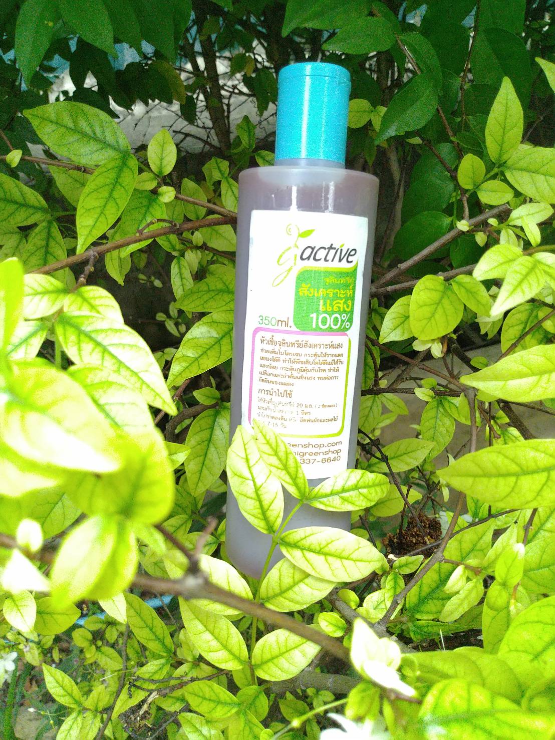 น้ำหมักจุลินทรีย์สังเคราะห์แสง ขนาด 350 มล.