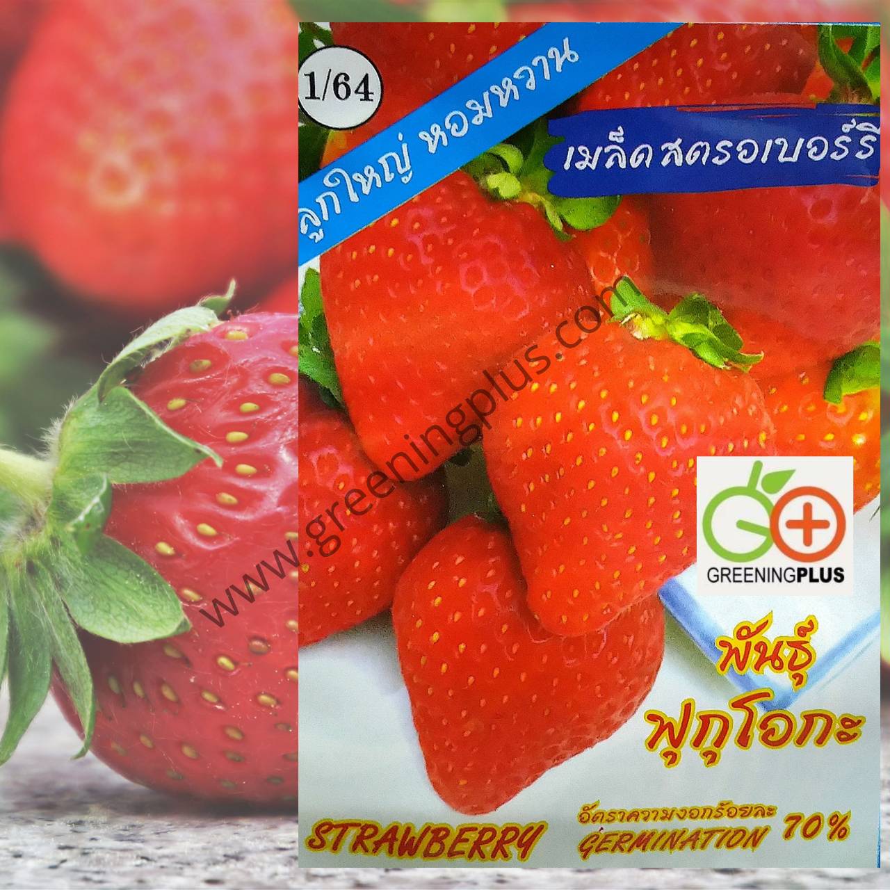 สตรอเบอร์รี่ สายพันธุ์ ฟุกุโอกะ 5 เมล็ด/ซอง