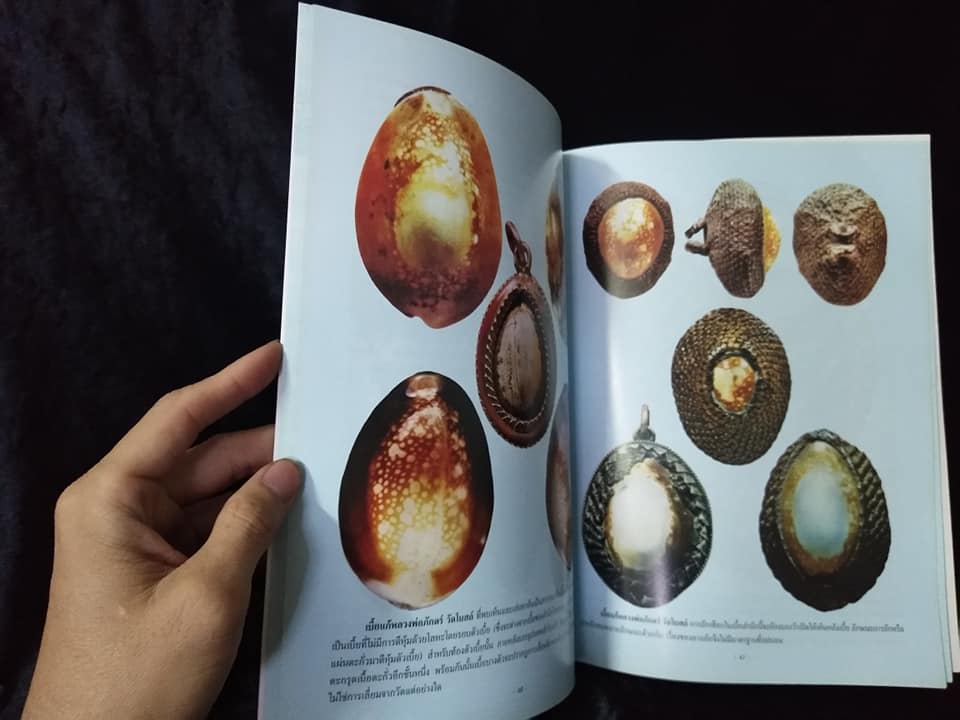 เบี้ยแก้ หมากทุย