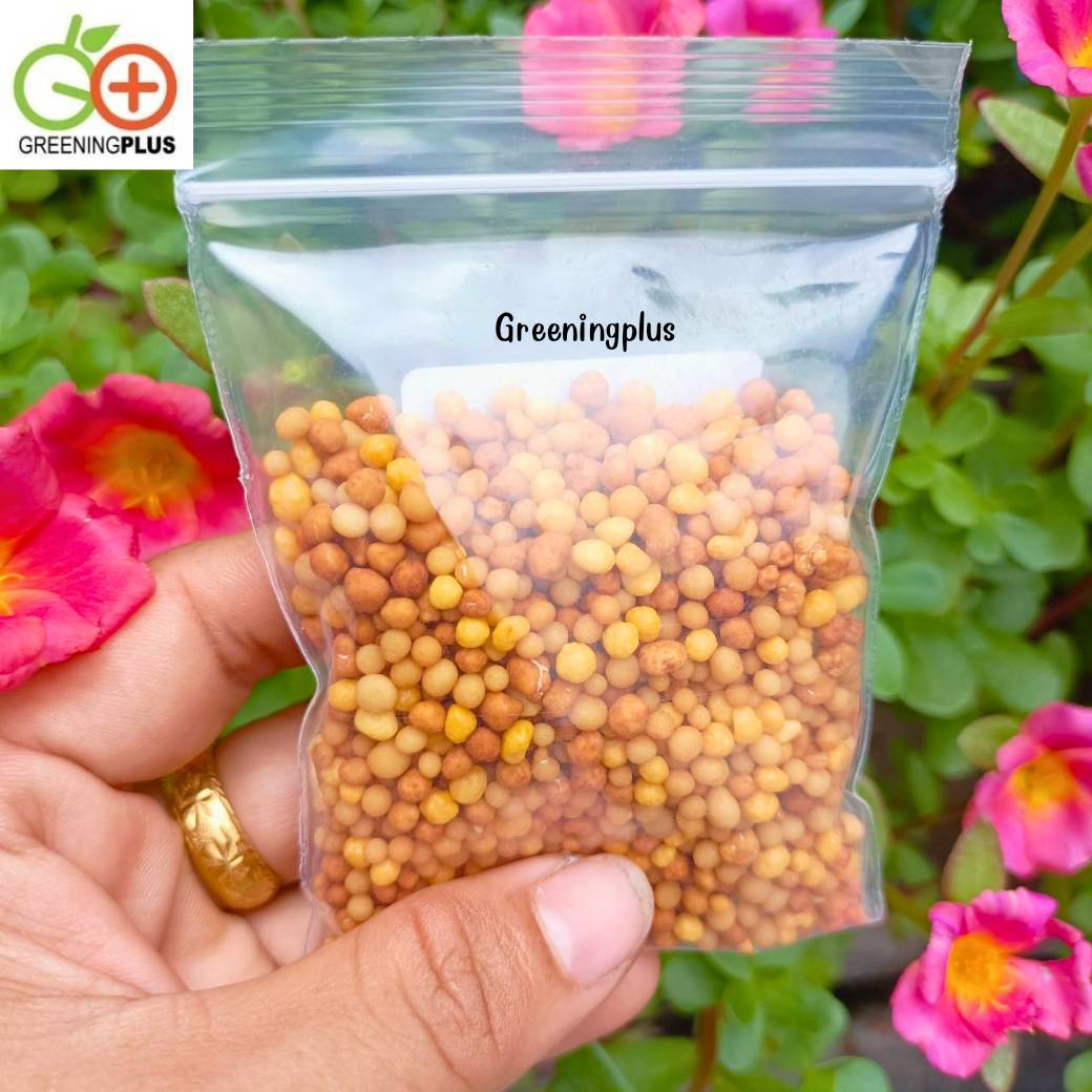 ปุ๋ยออสโมโค้ท (Osmocote) ขนาด 50 กรัม