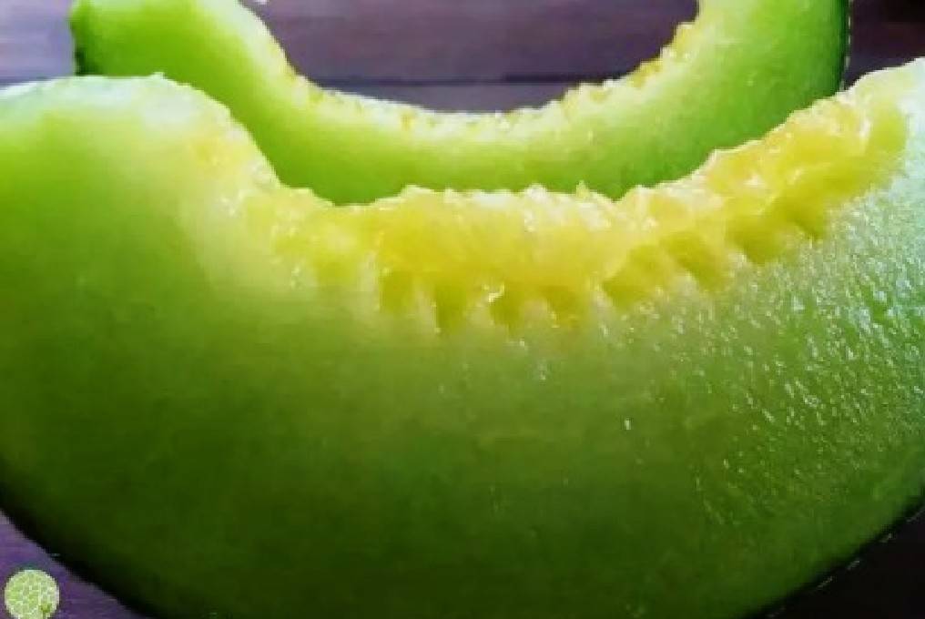 เมล่อน คิโมจิ Japan Melon Kimoji 10 เมล็ด