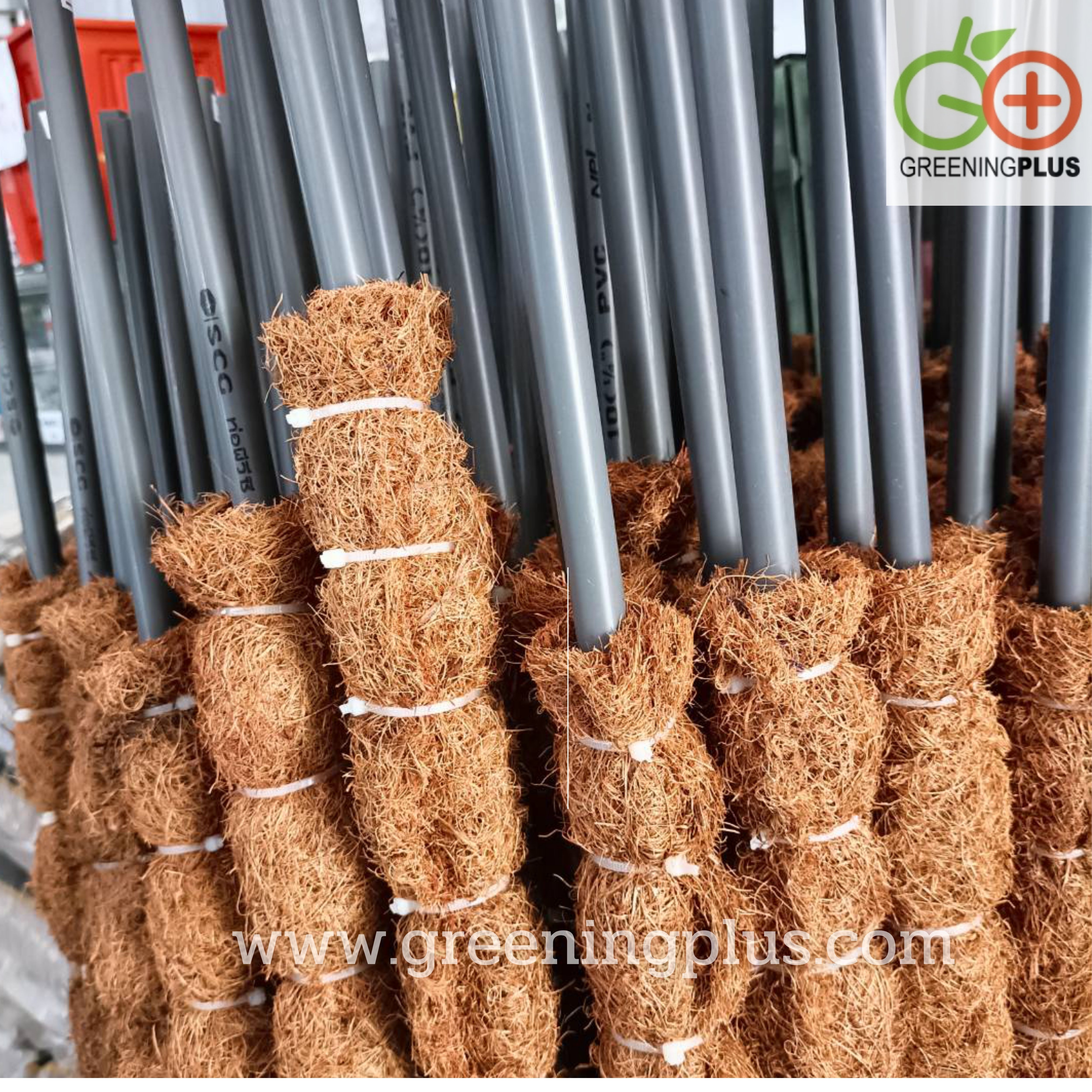 หลักไม้เลื้อยใยมะพร้าว จำนวน 1 อัน