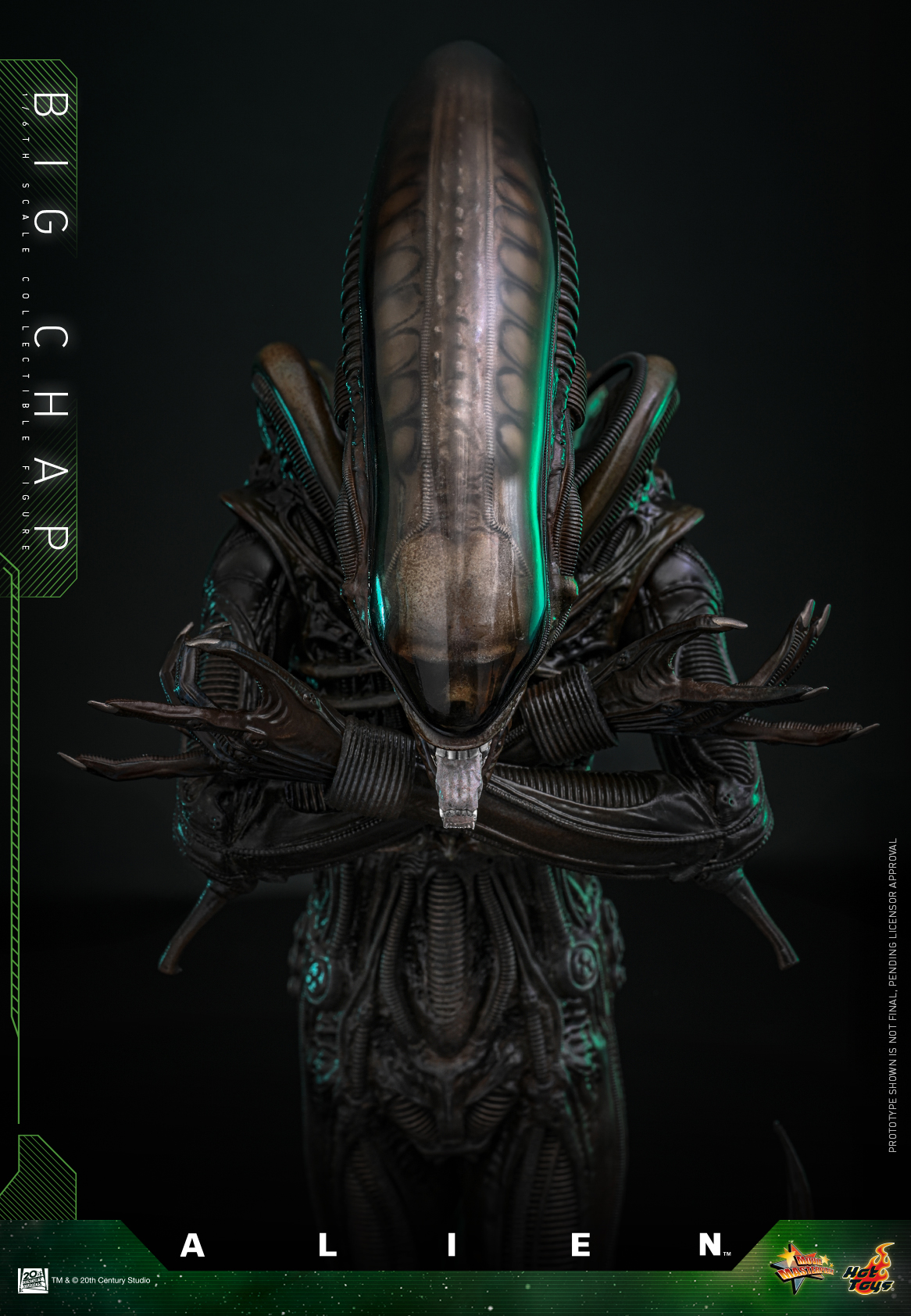 25/08/2568 Hot Toys MMS826 Alien - Big Chap
