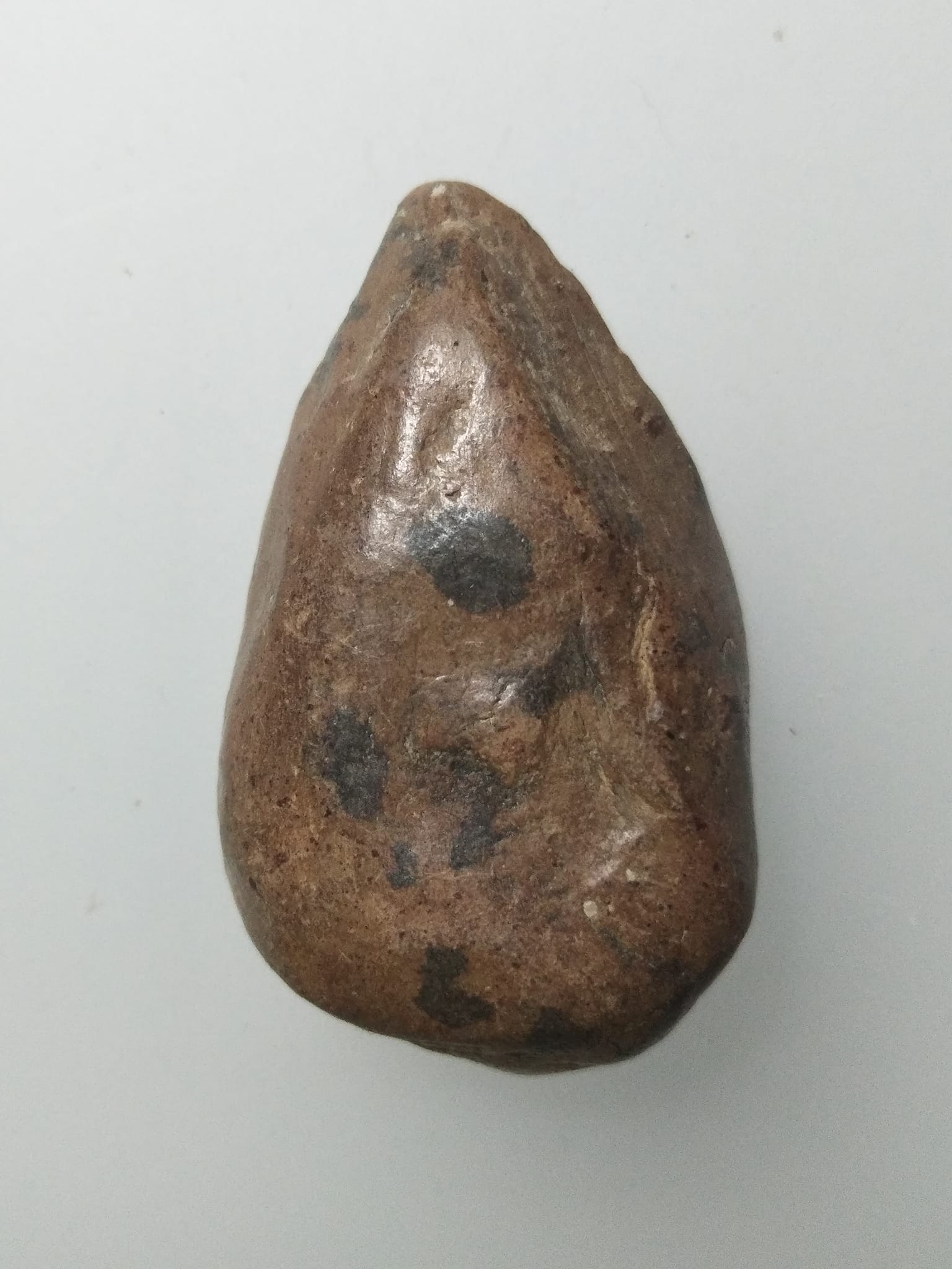 F238 พระกำแพงเม็ดมะลื่น