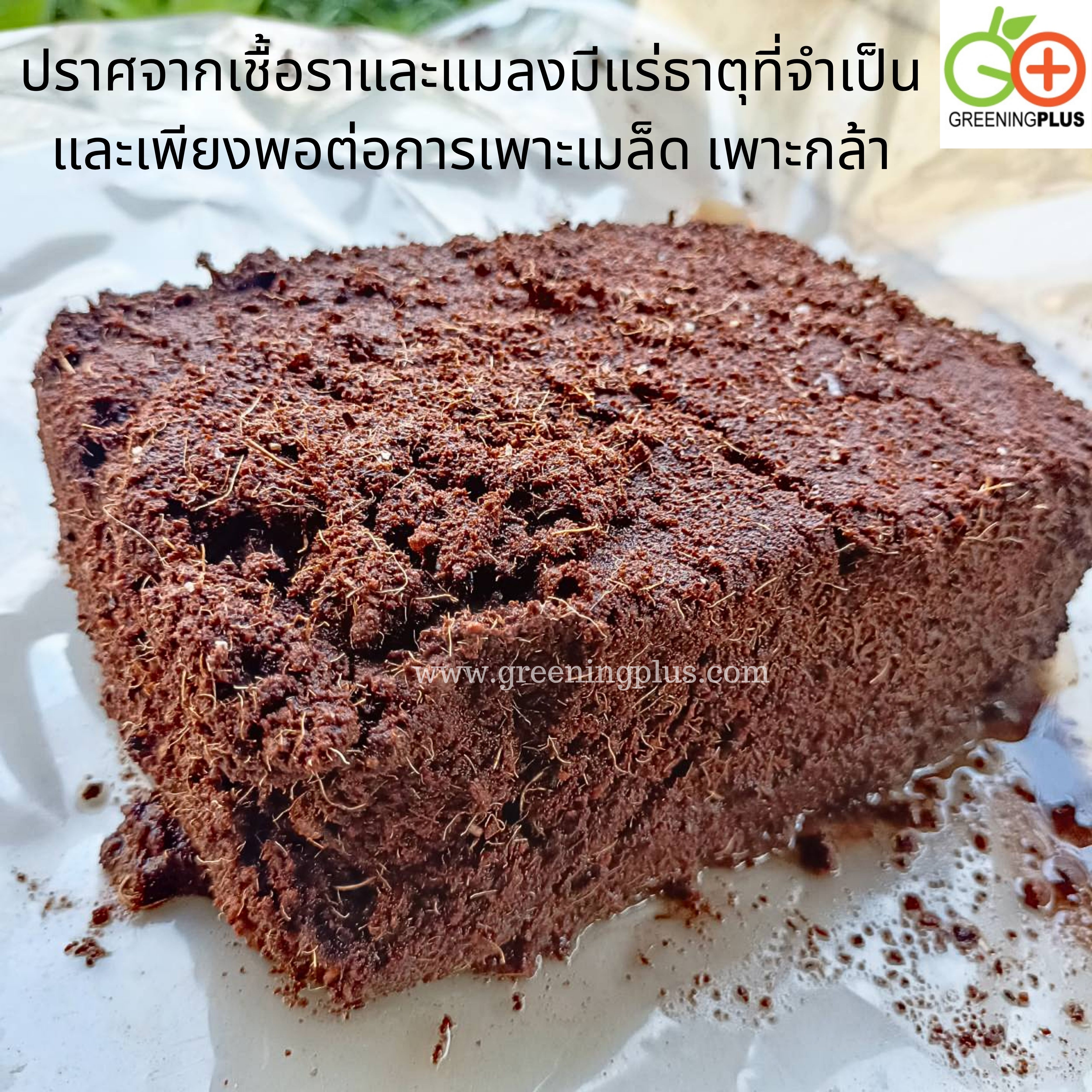 ขุยมะพร้าว ชนิด Treat 1 ก้อน/200 กรัม