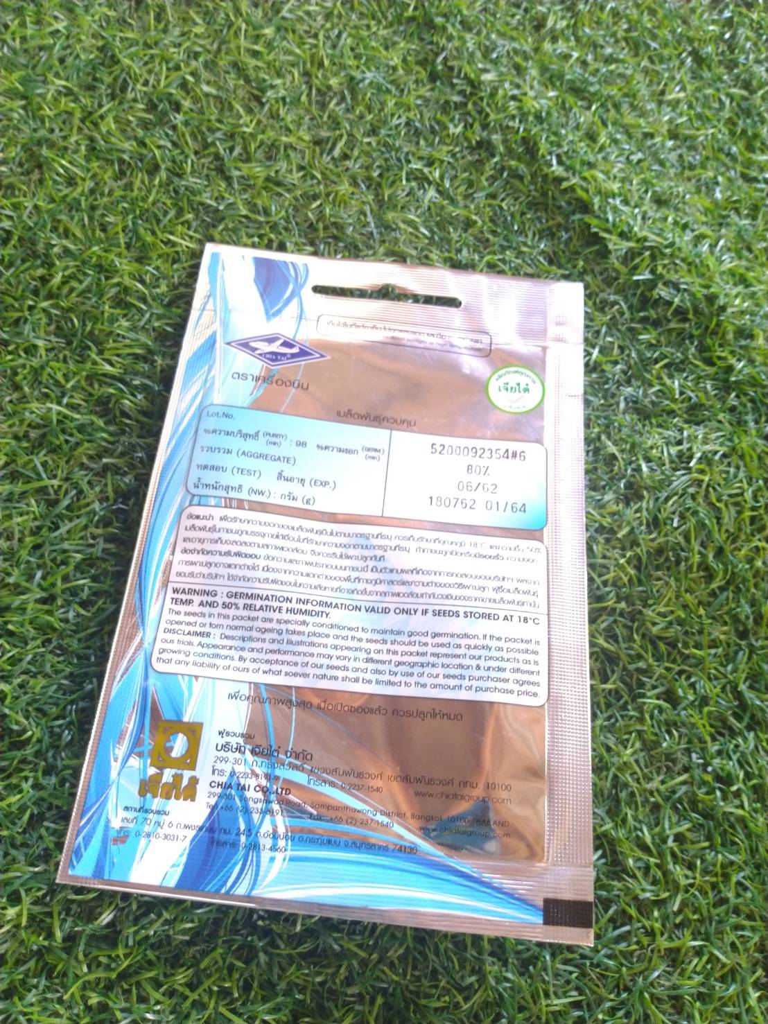 มะเขือเจ้าพระยา Round egglant Chao phaya เจียใต๋