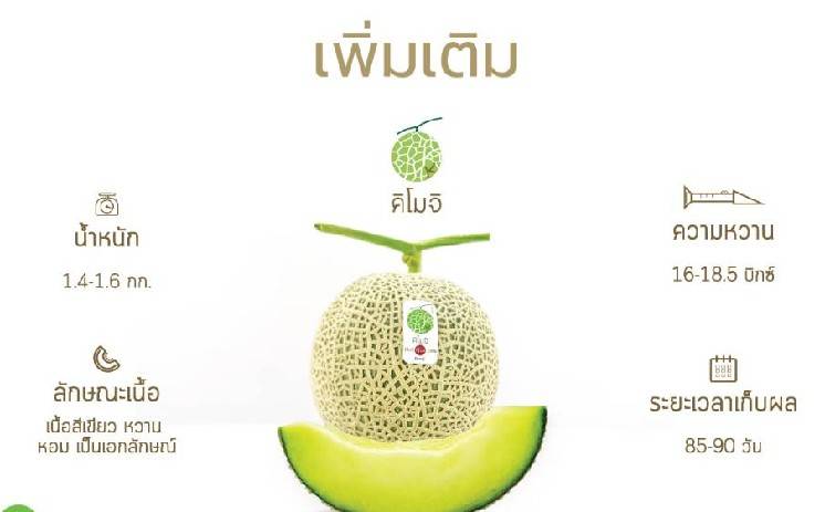 เมล่อน คิโมจิ Japan Melon Kimoji 10 เมล็ด