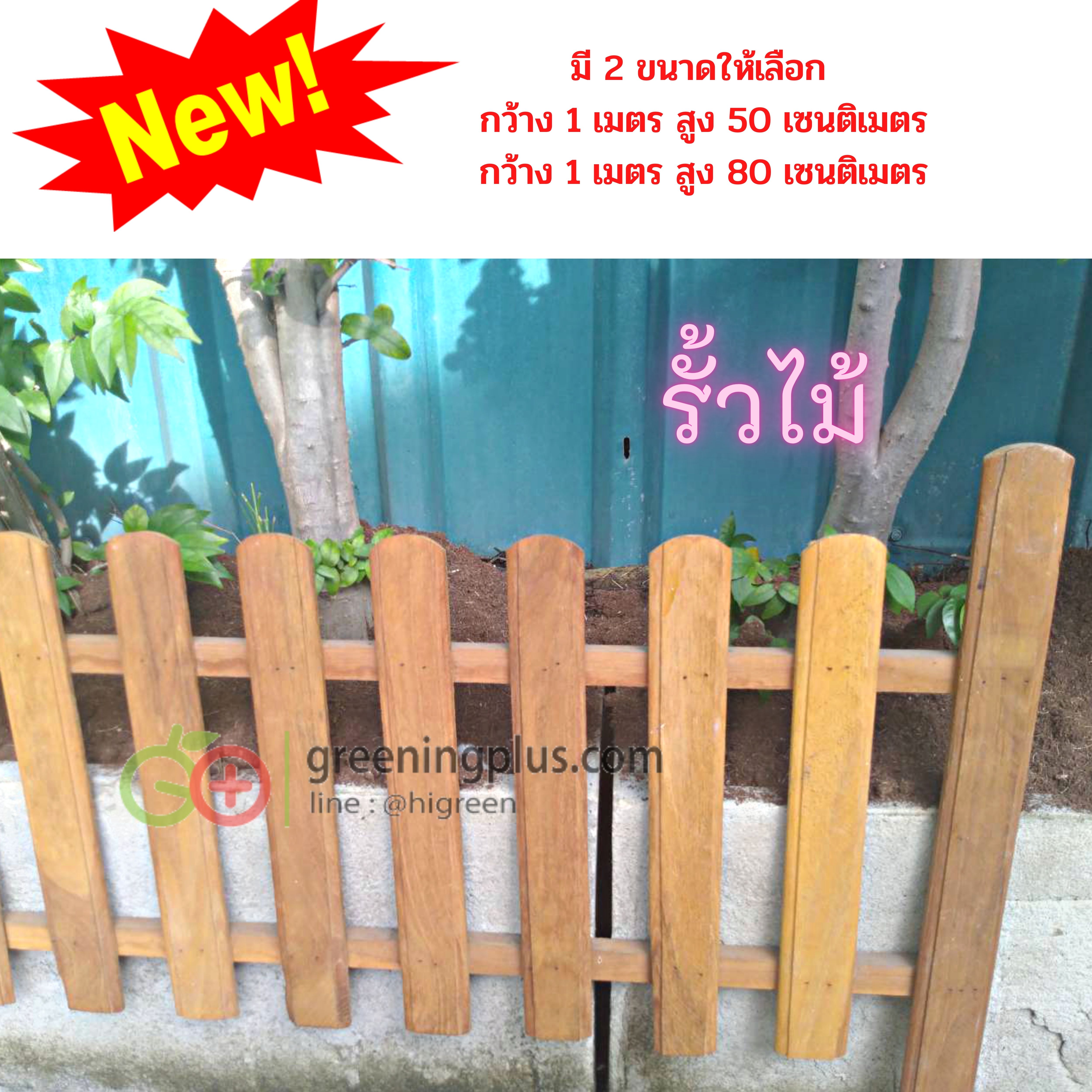 ไม้รั้ว ไม้ตกแต่งสวน