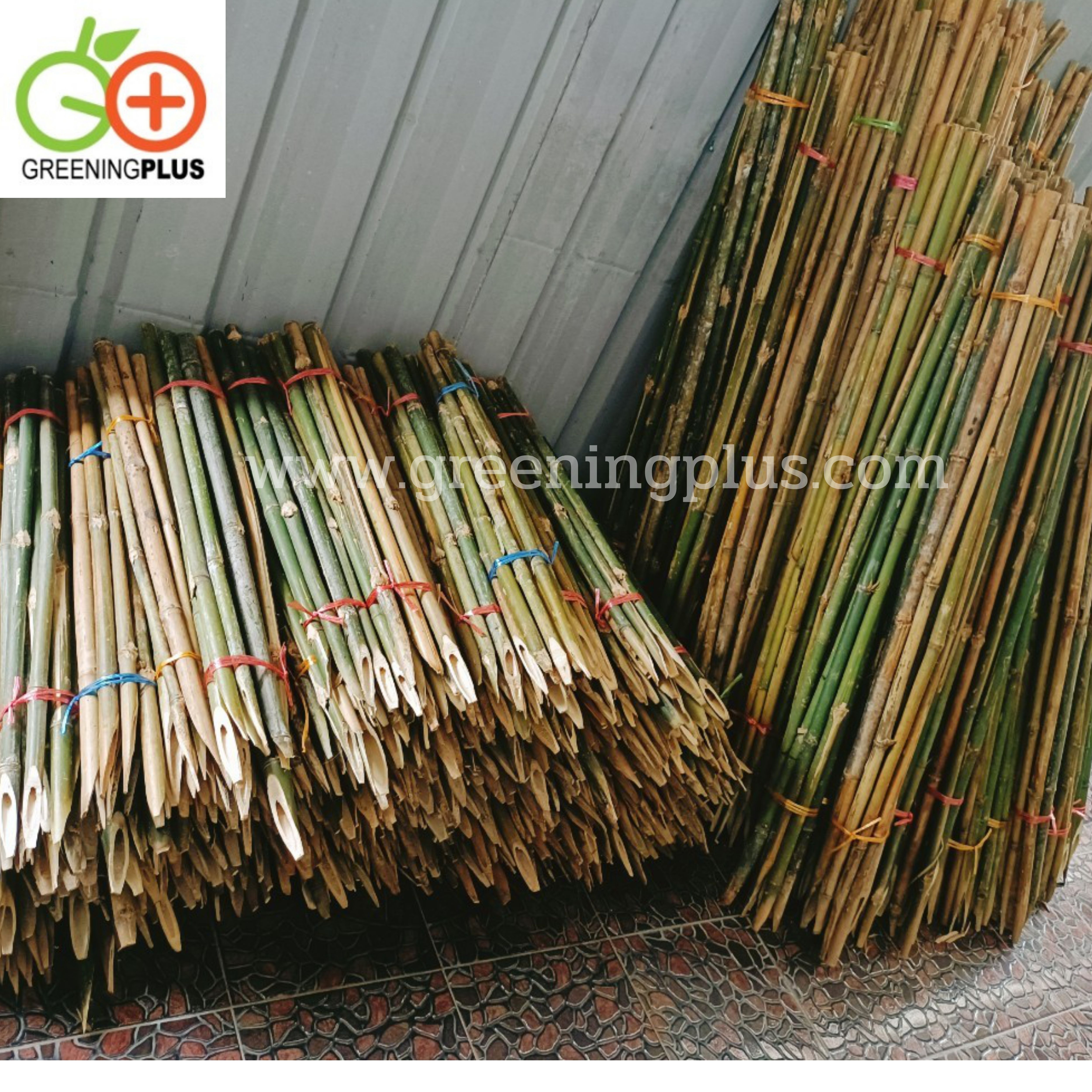 ไม้ปักค้ำต้นไม้ ไม้กลมแข็งแรง แหลมปลายสะดวกต่อการใช้งาน ขนาด 1.3-1.5 เมตร x 2 มัด