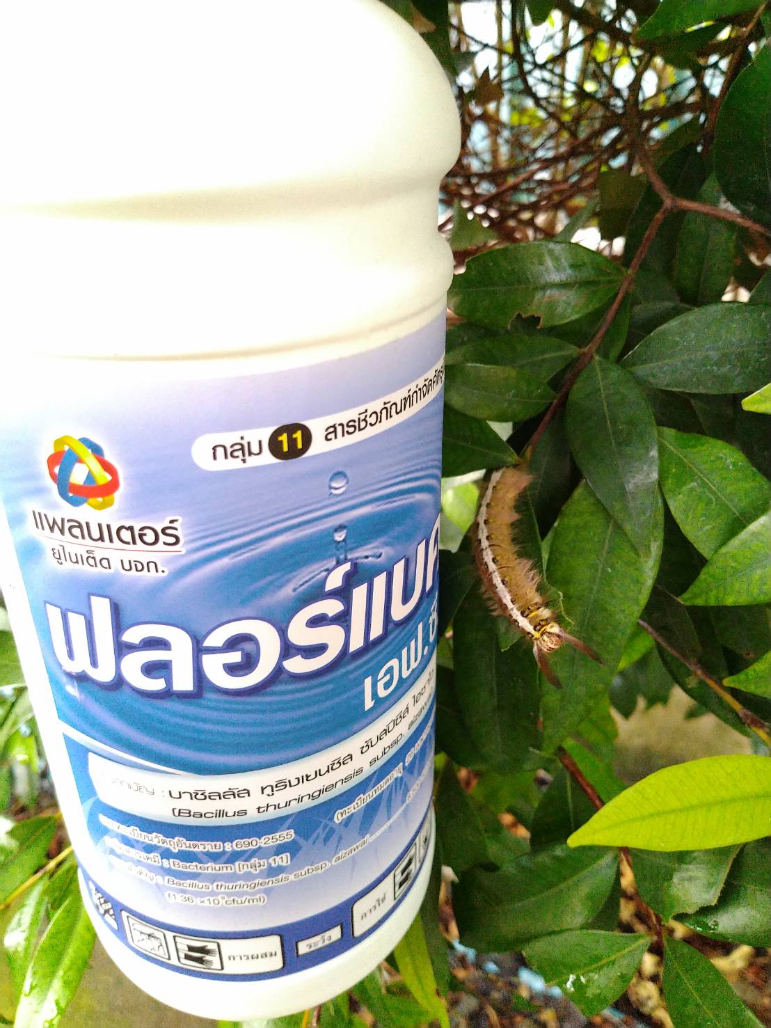 BT ฟลอร์แบค (บาซิลลัส ทูริงเยนซีส) 1 ลิตร