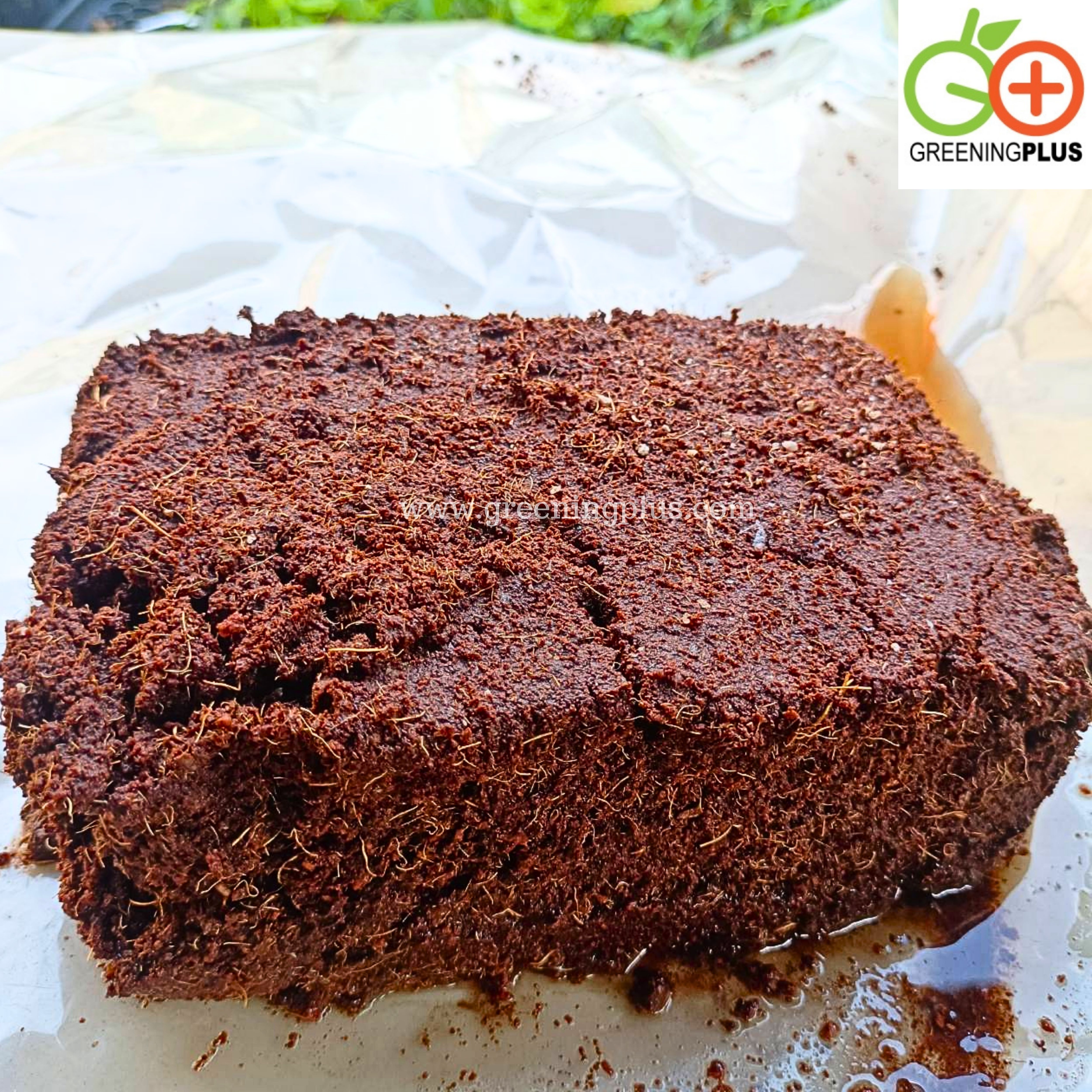 ขุยมะพร้าว ชนิด Treat 1 ก้อน/200 กรัม