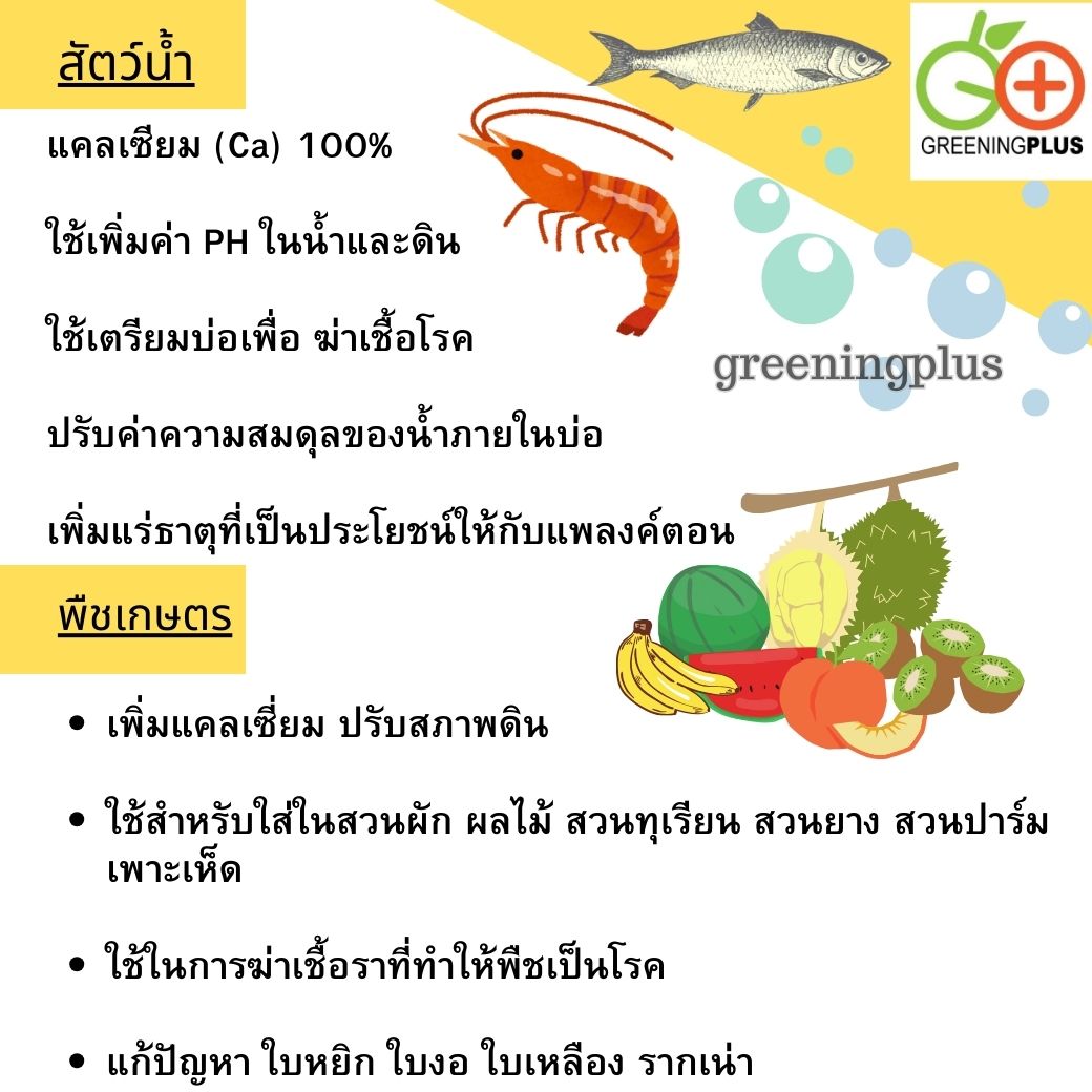 ปูนเปลือกหอย ของแท้จากสุราษฎร์ธานี แบ่งขาย 1 กิโลกรัม / แพ็ค